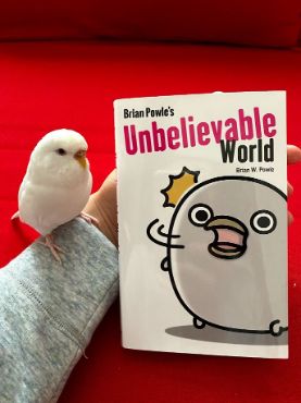 今日の鳥ちゃんもん②