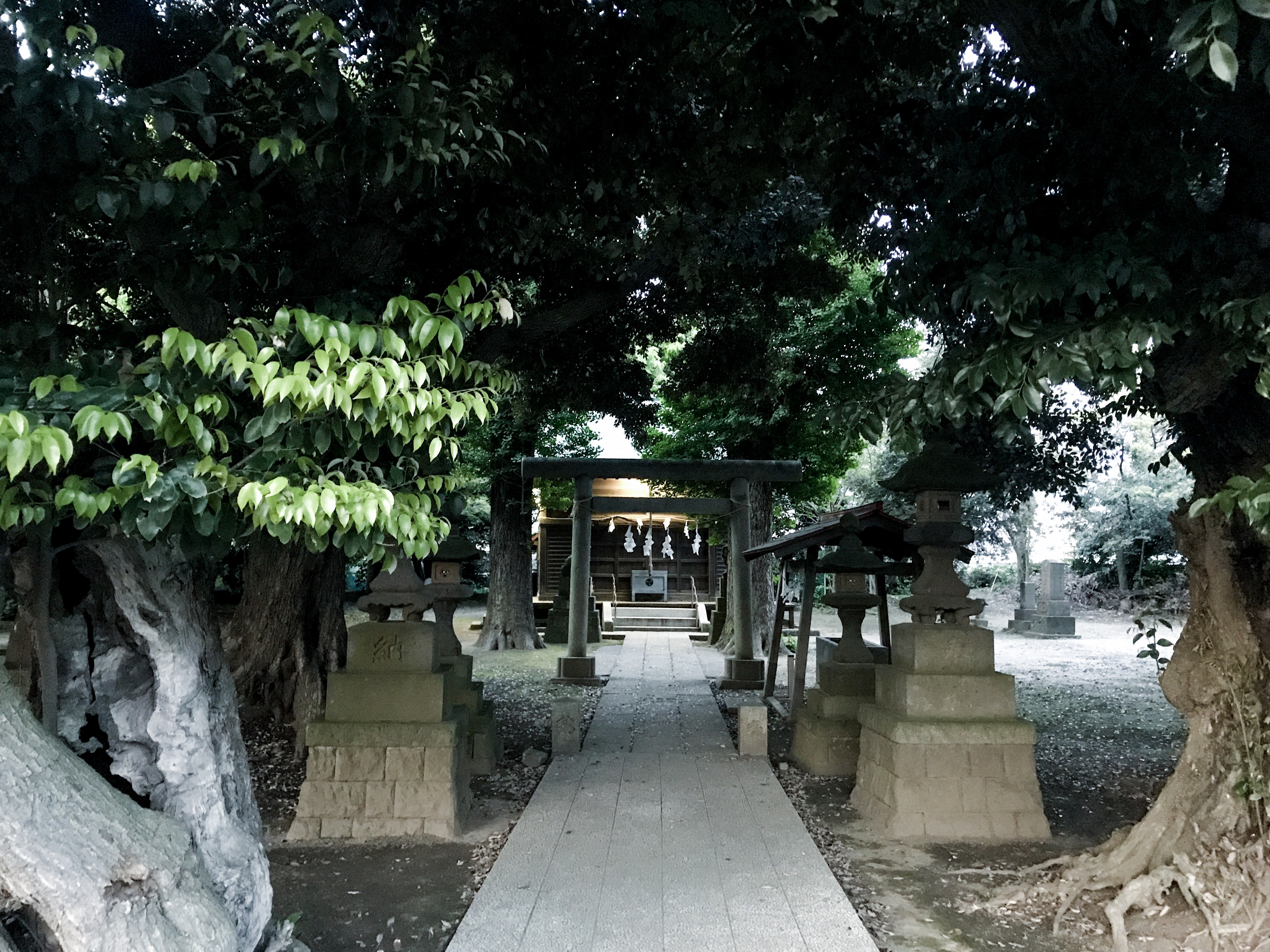 【日常と新作】上山ノ神／Kamiyama-shin