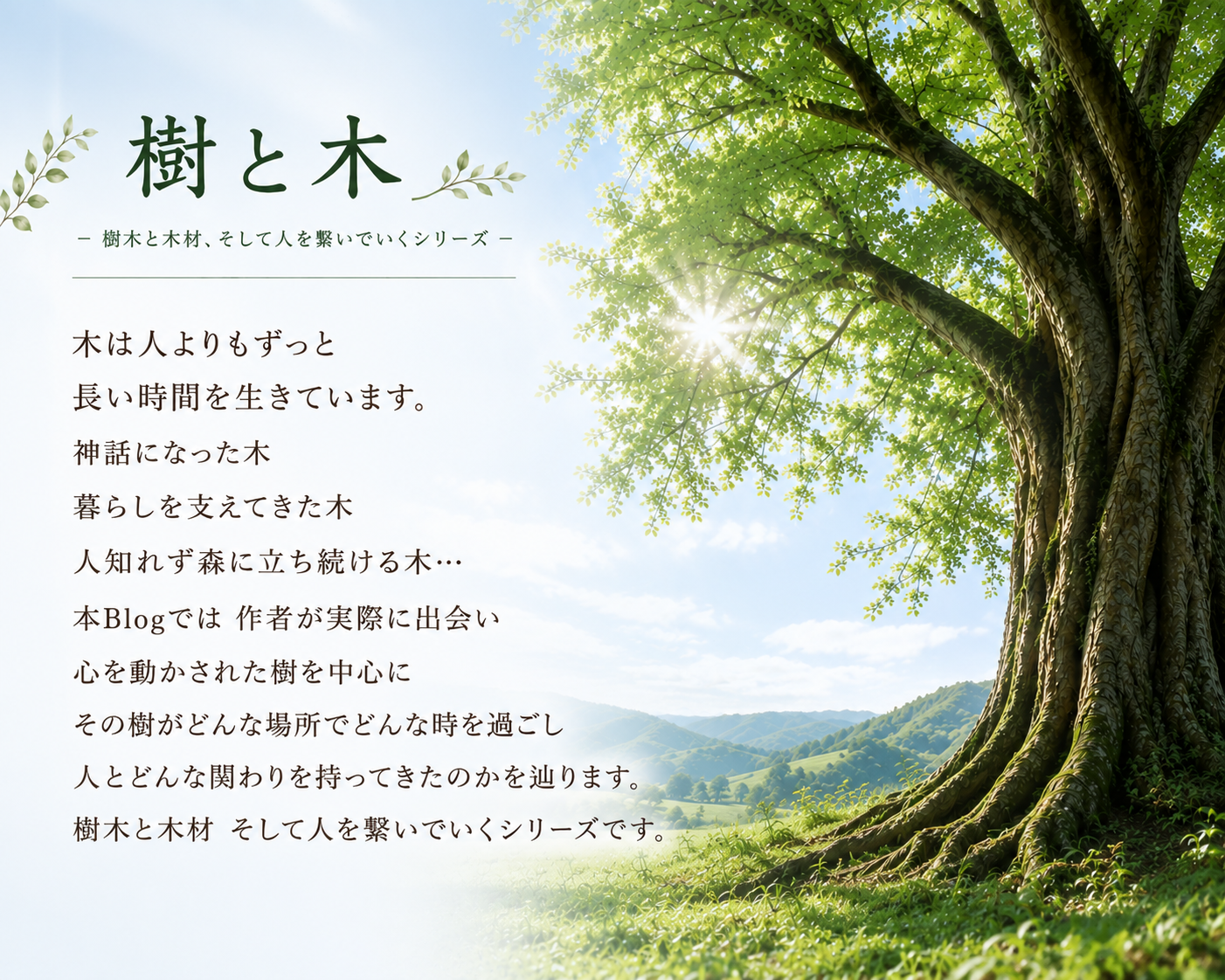 【樹と木】樹木と木材を巡る旅 - 目次 -