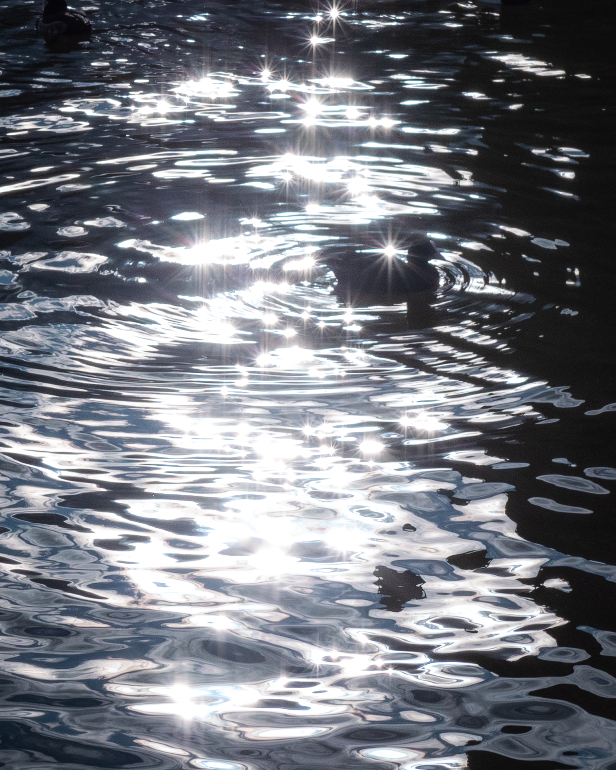 【水晶雨ーCrystal Rain】