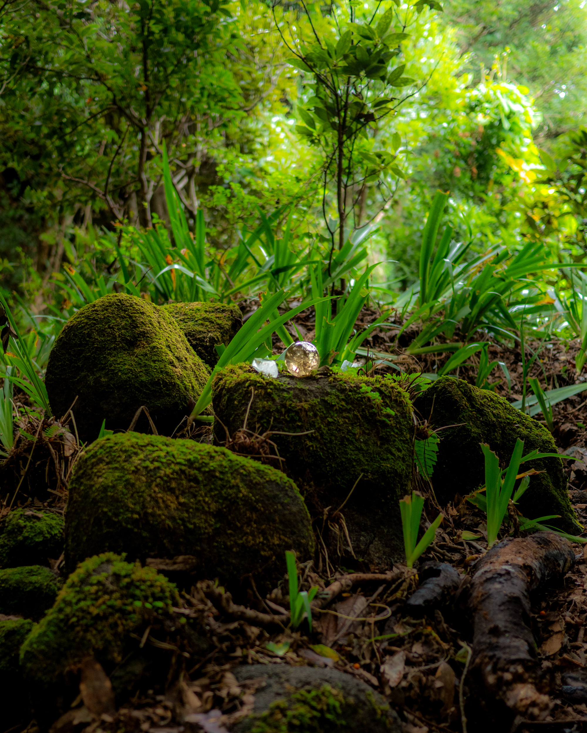 年末年始のお知らせ