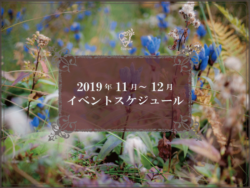 【イベント】2019年11・12月のスケジュール
