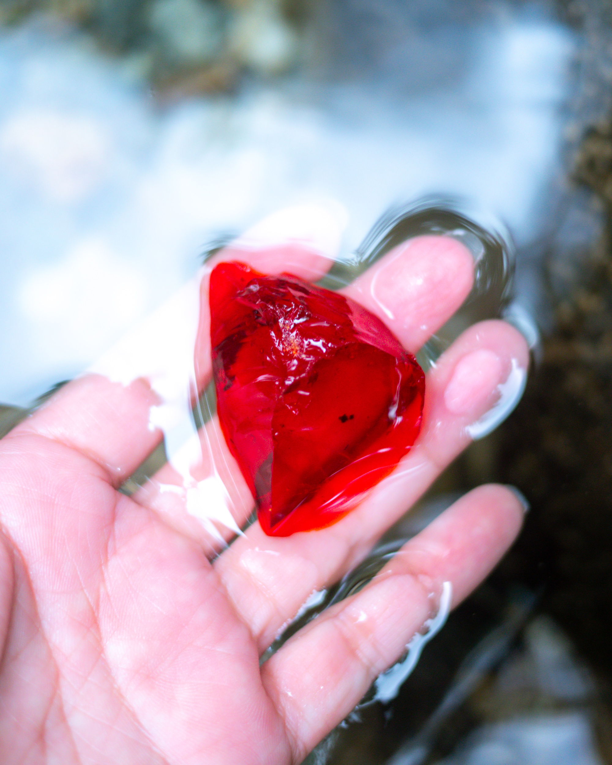 小さな旅の相棒 スカーレット