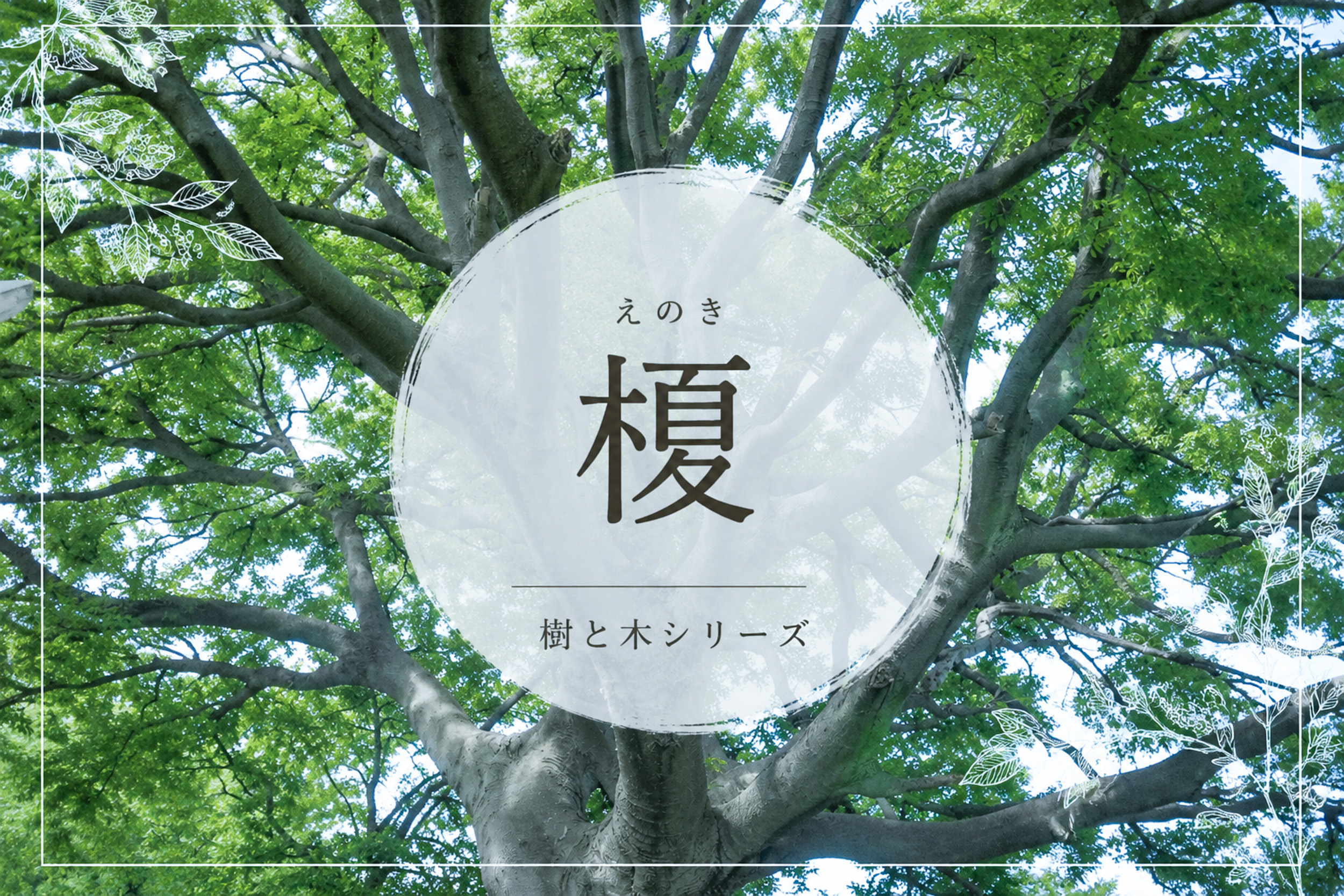 【樹と木】旅人の魂に触れる［榎］