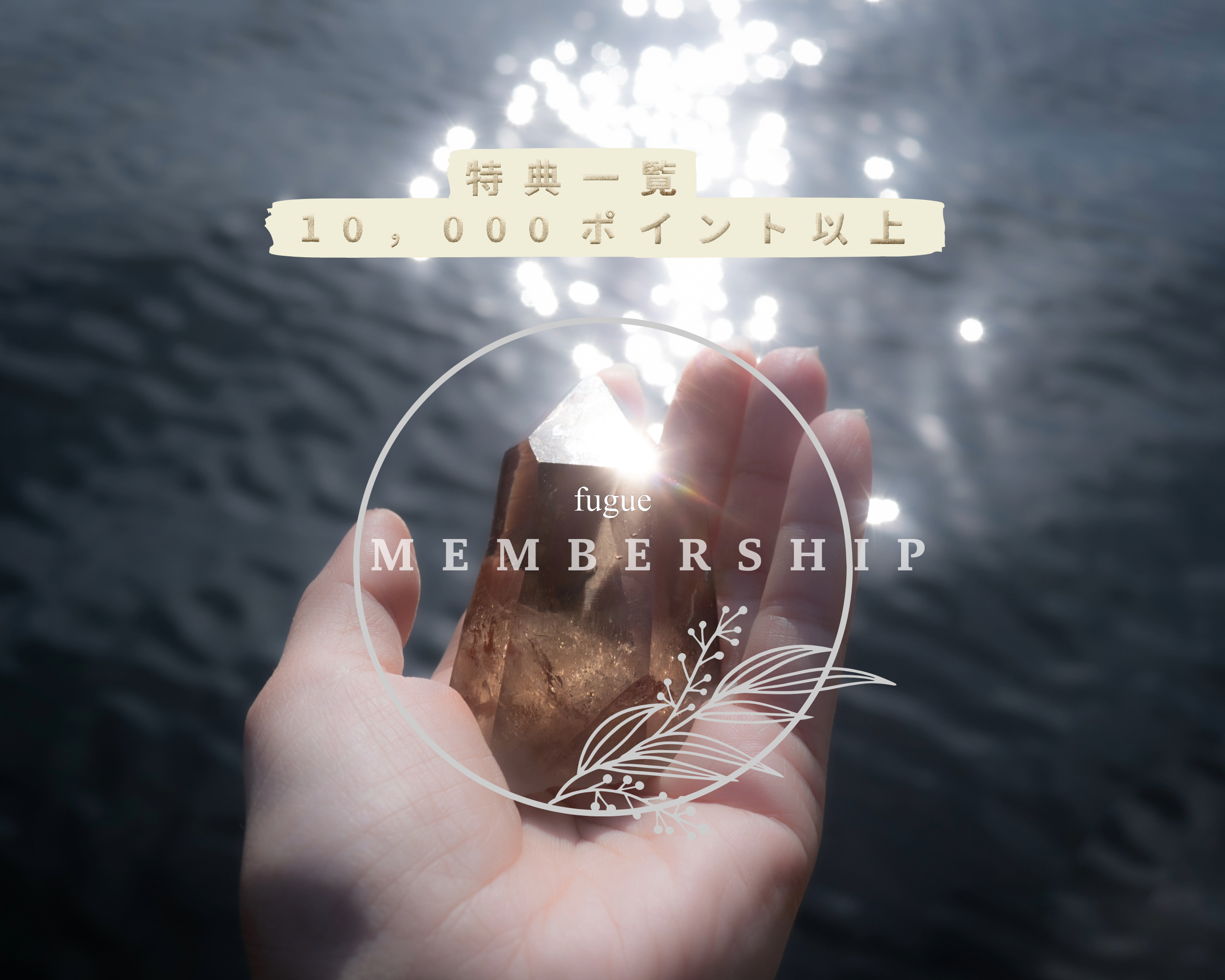 【MEMBERSHIP特典｜10,000ポイント以上の特典一覧】