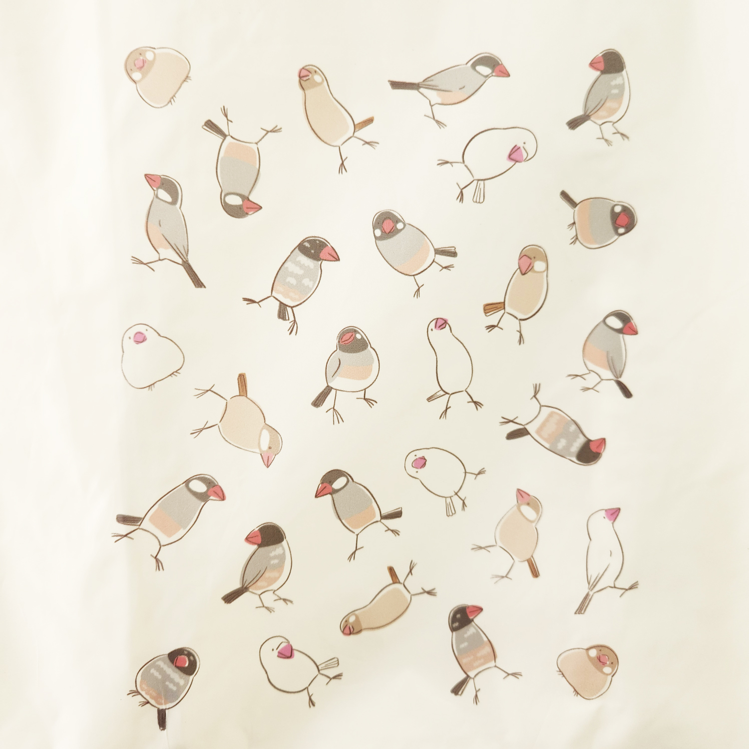 【新発売】文鳥ポリエコバッグ新登場！