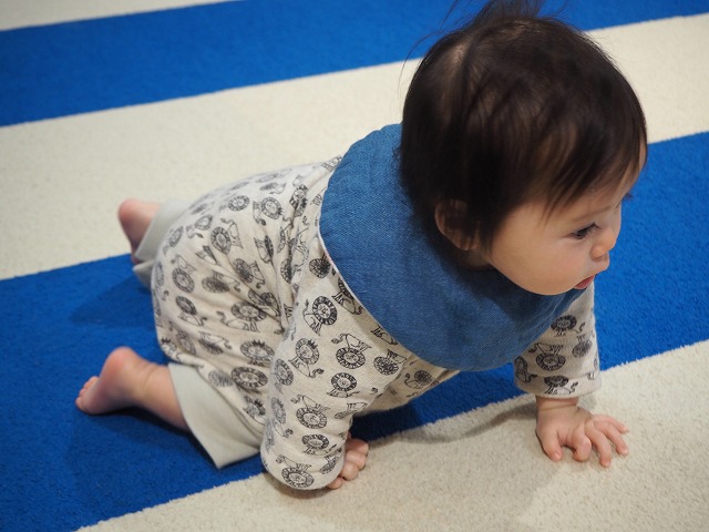 丸いスタイの着用イメージです。