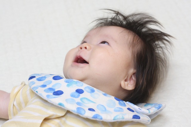 はじめまして、HAPPY SEEDです。