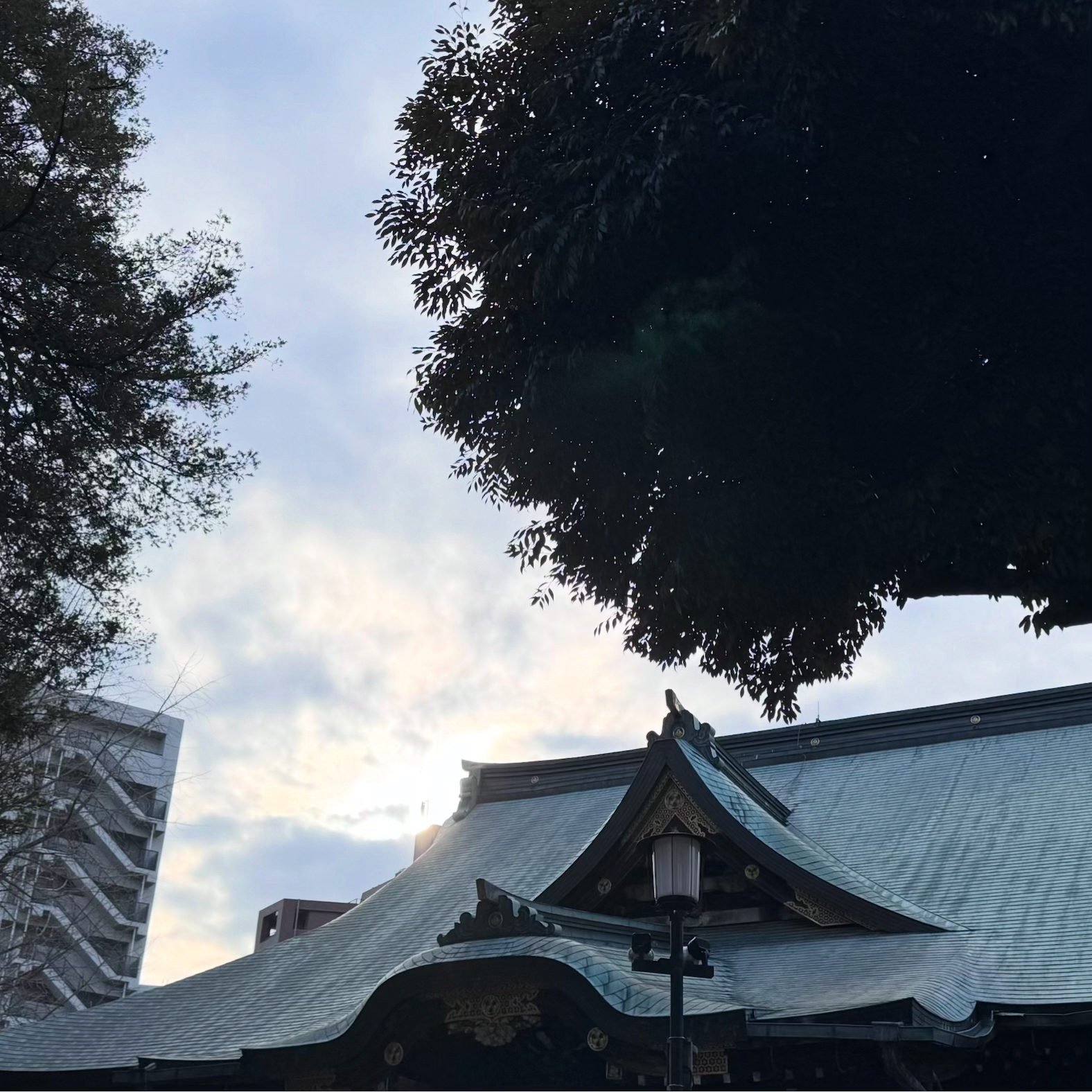 【雑司ヶ谷手創り市のお礼と『おまかせ詰め合わせ』のオンラインショップのお知らせ】