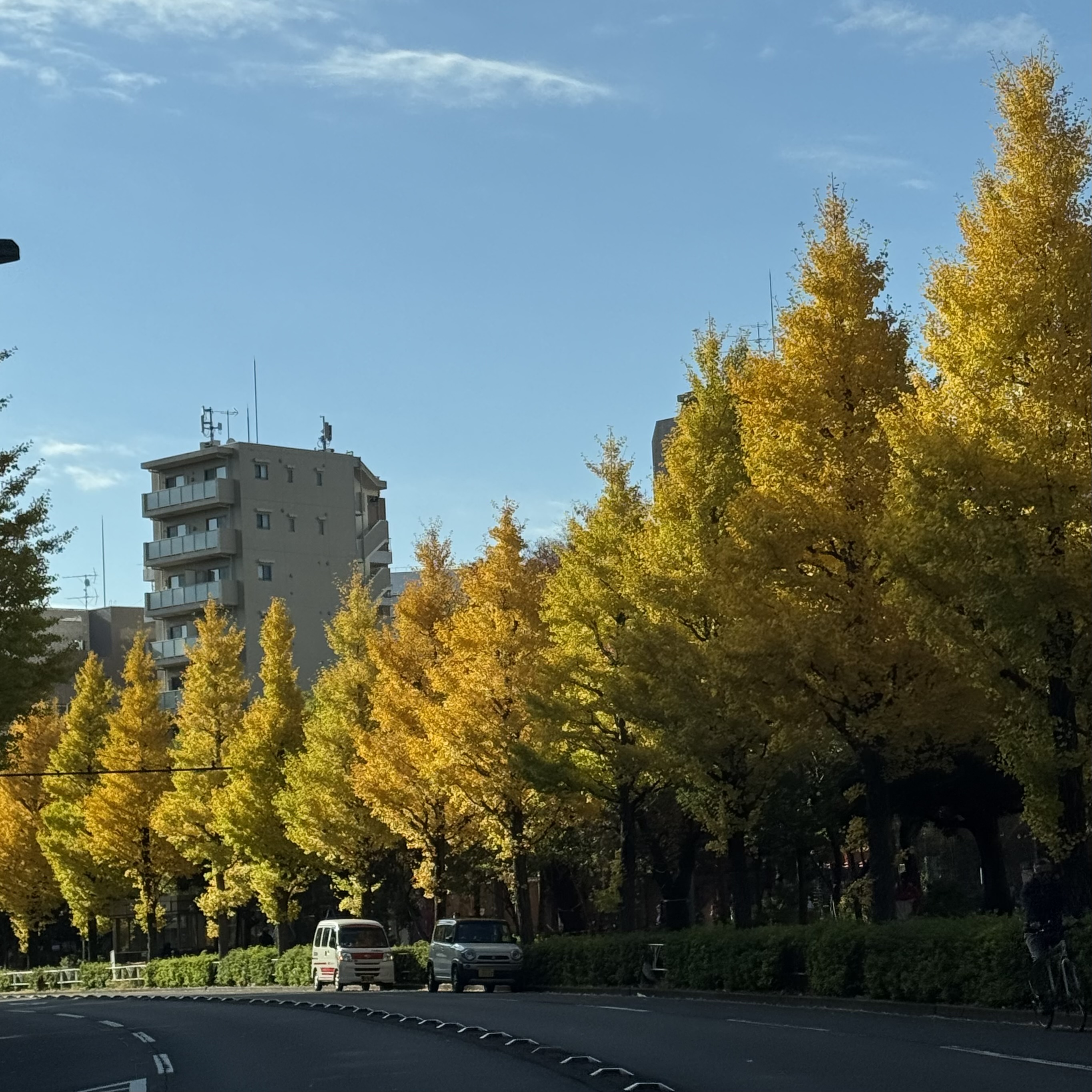 【11月の予定】