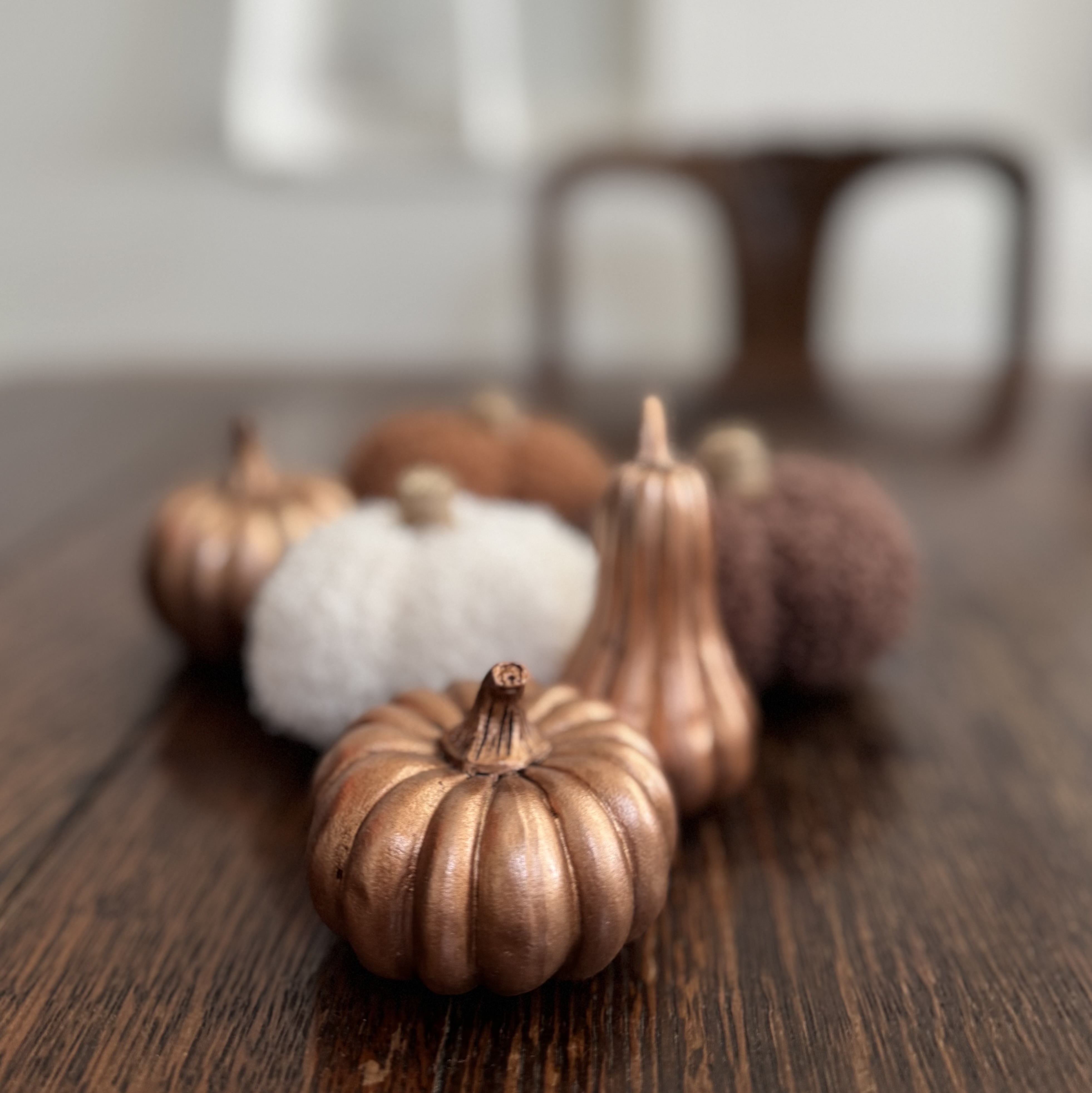 【10月の予定】