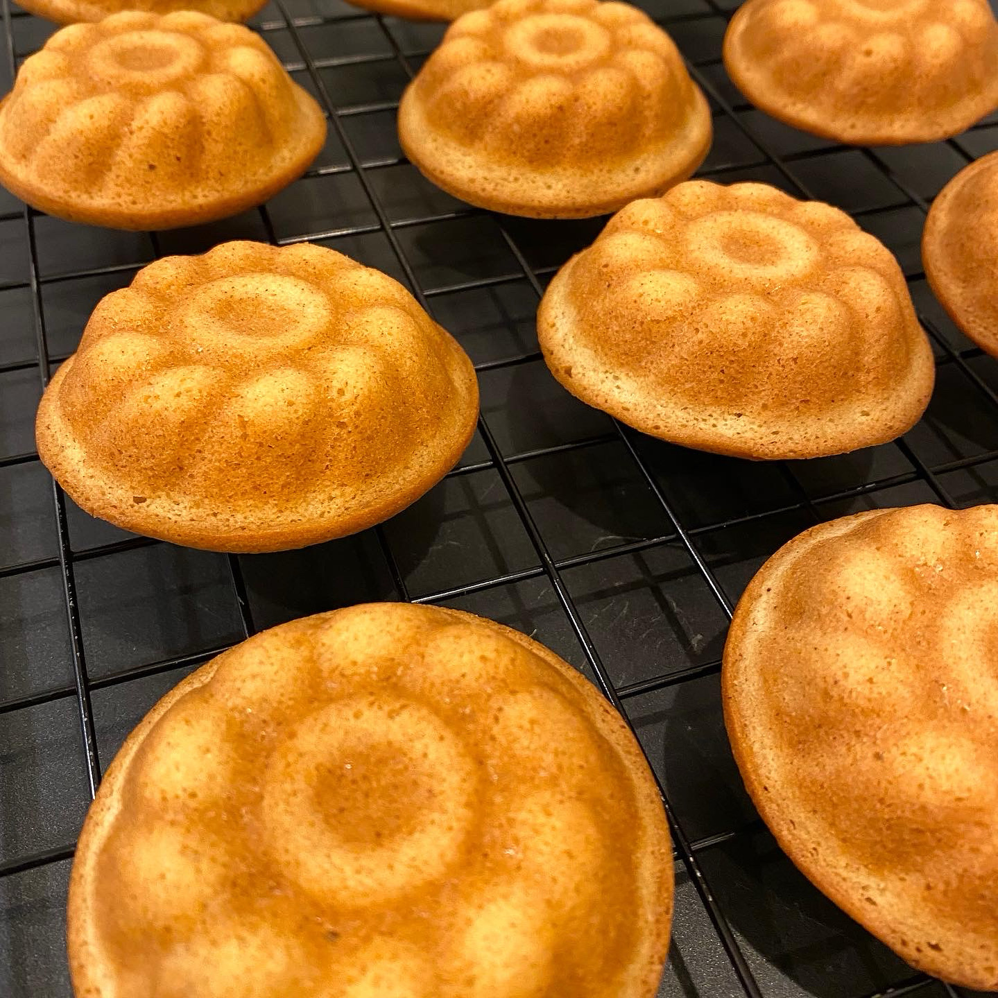 【オンラインショップ受付中です】