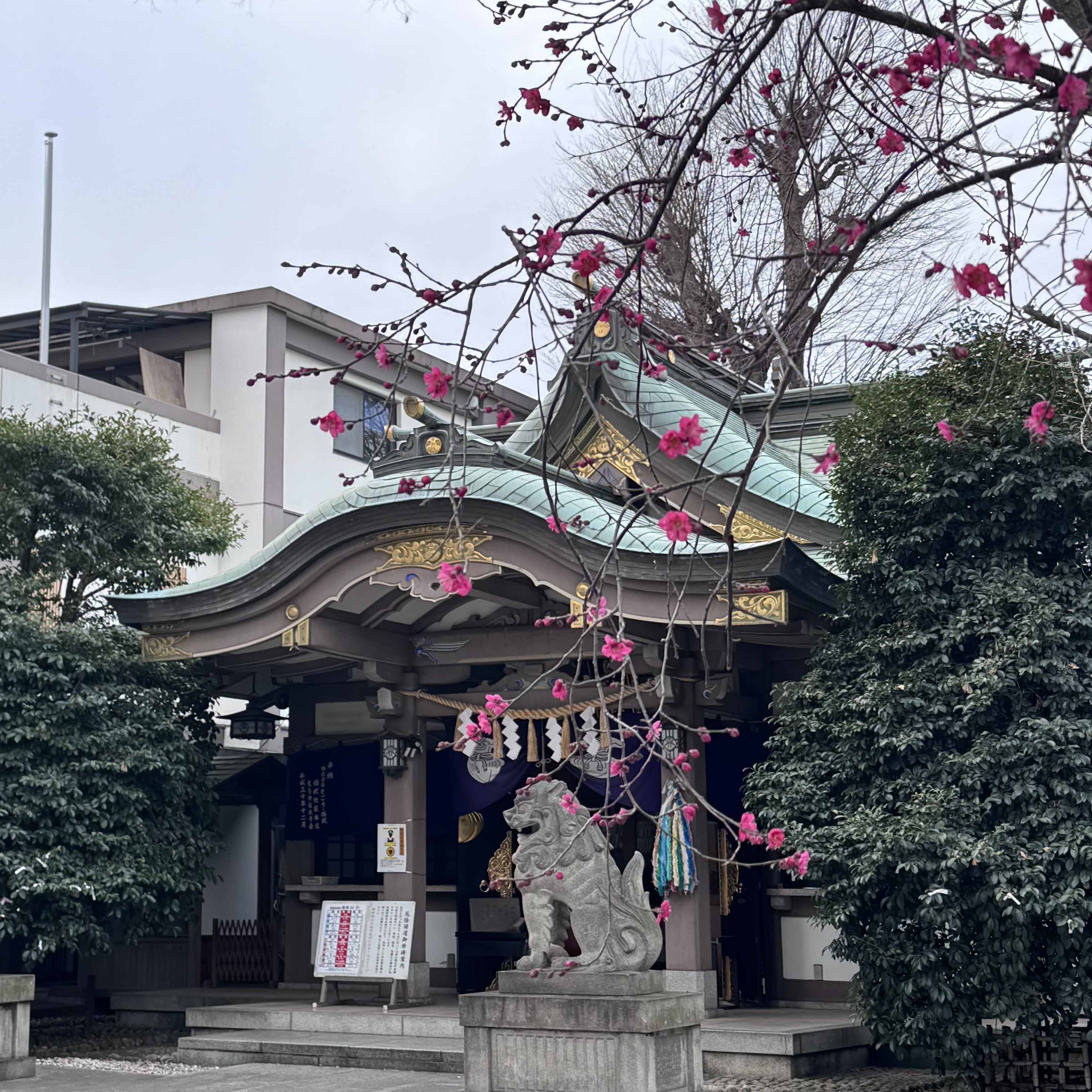 【オンラインショップと雑司ヶ谷手創り市のお礼】