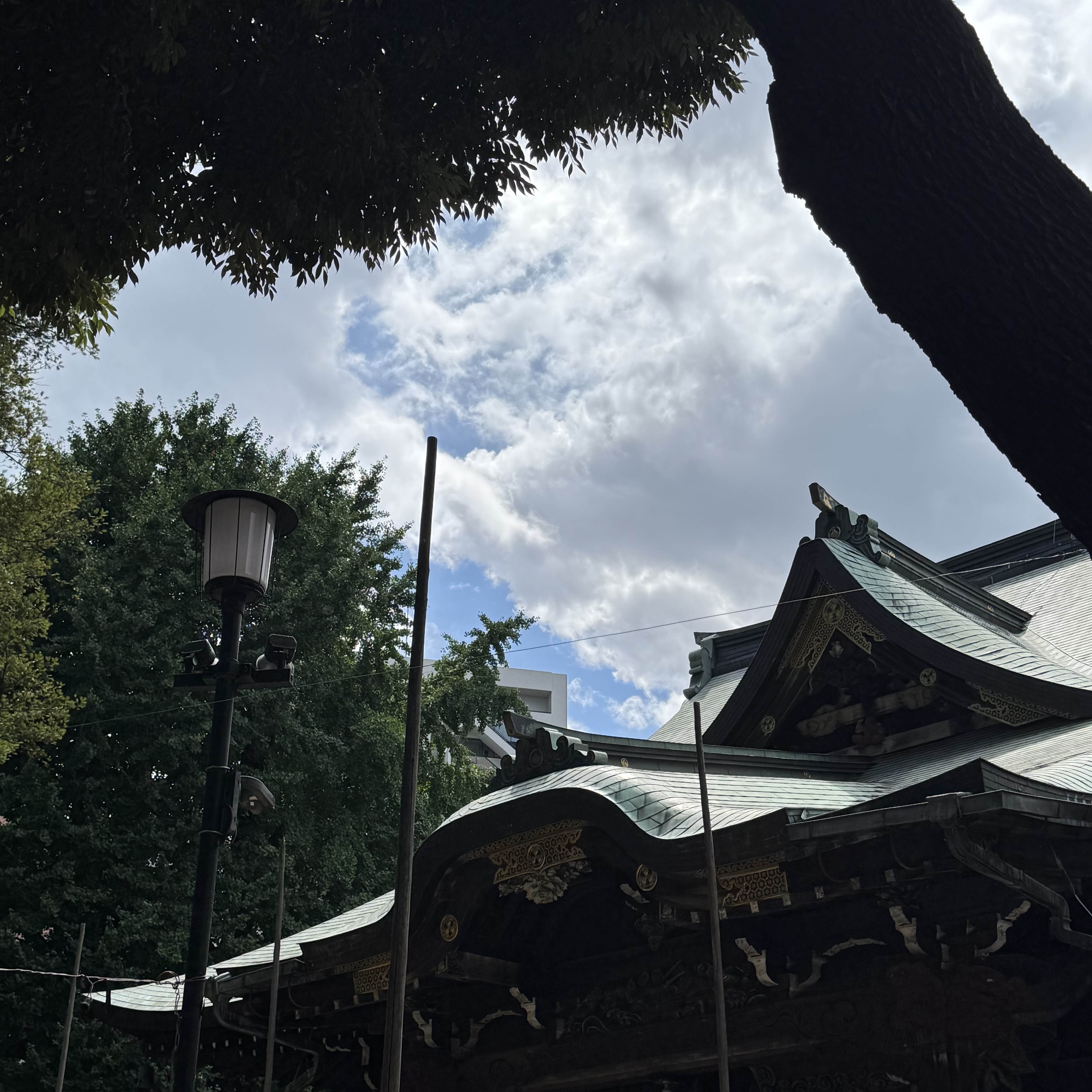 【雑司ヶ谷手創り市のお礼と8月のオンラインショップ】