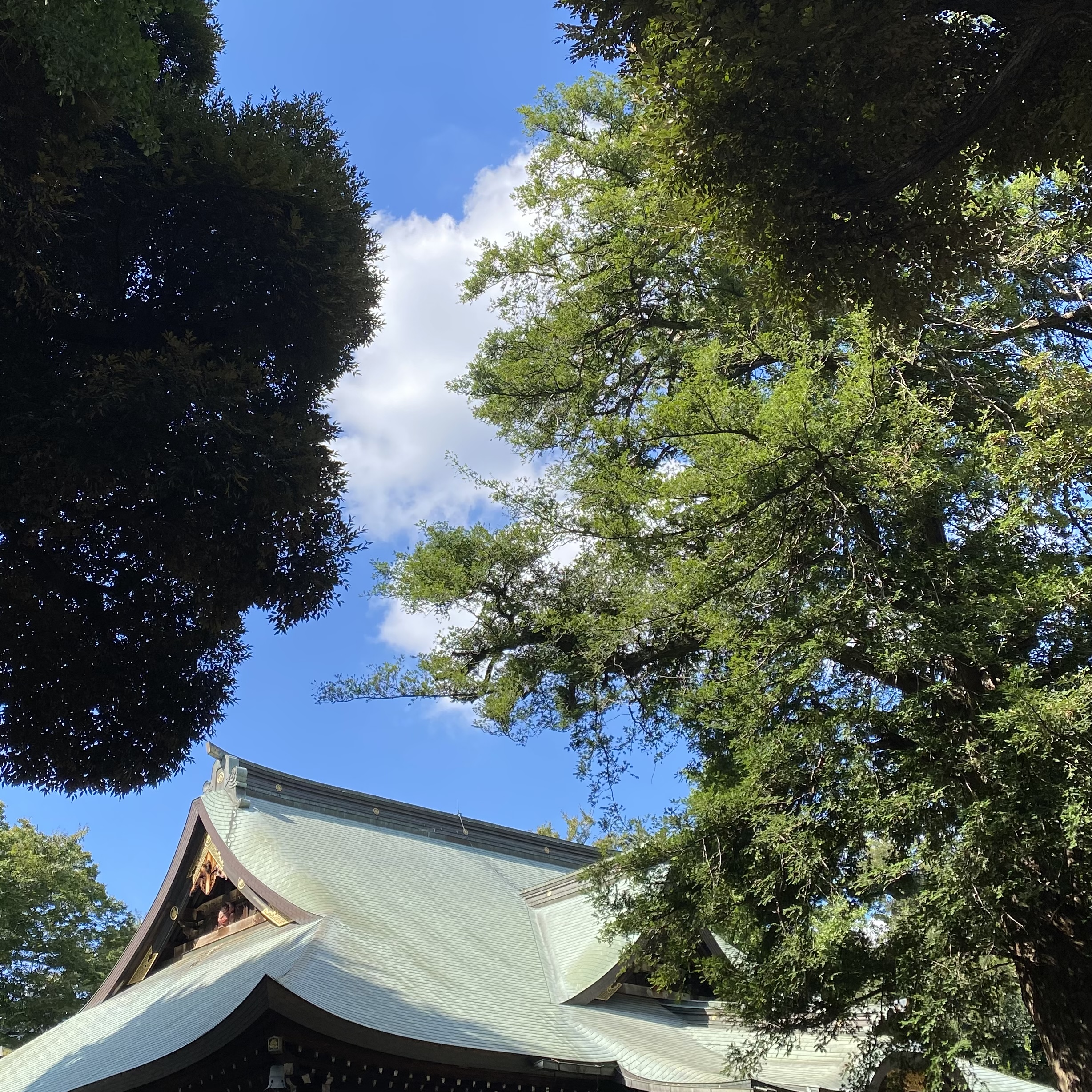 【雑司ヶ谷手創り市10月・1日目終了しました！】