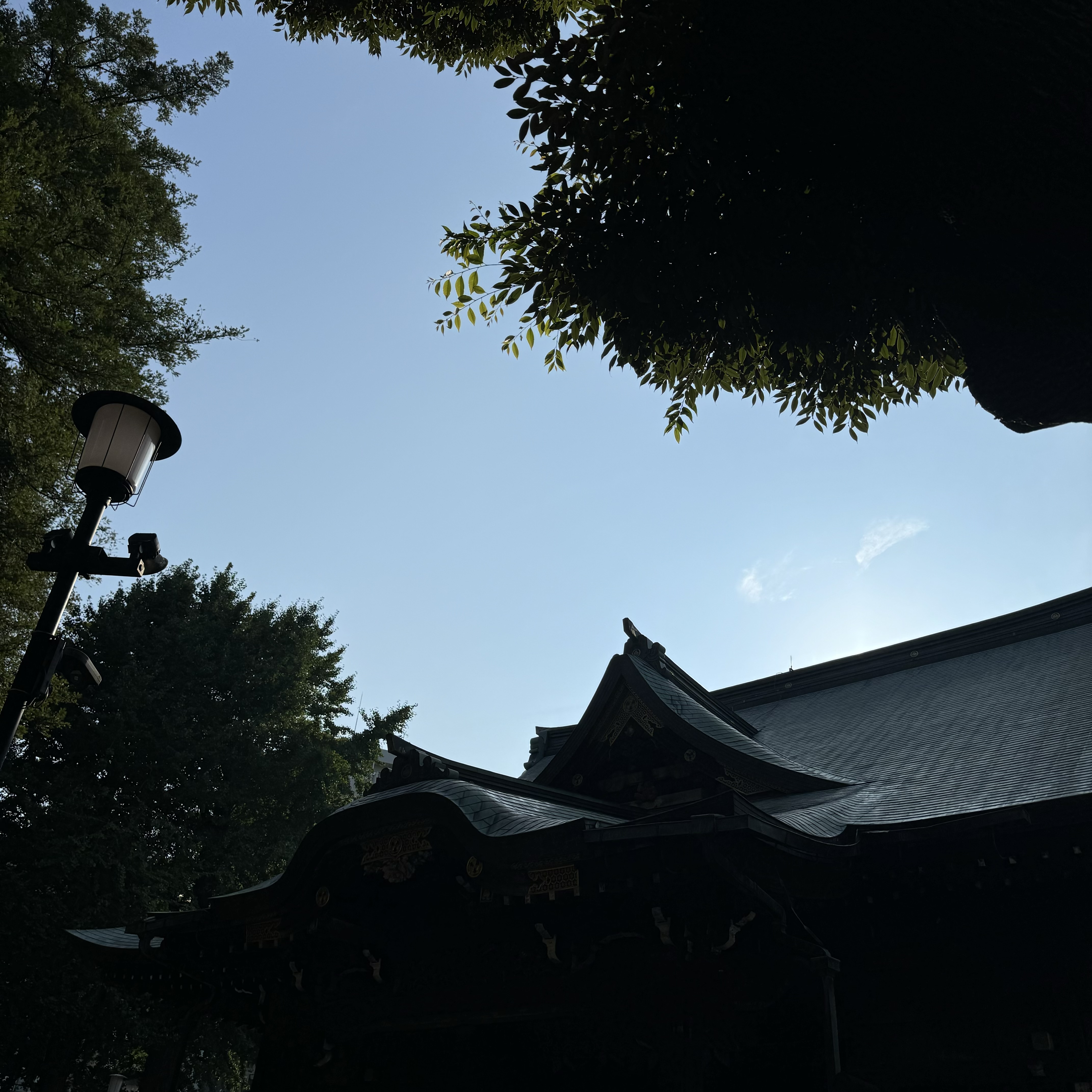 【雑司ヶ谷手創り市とオンラインショップ】