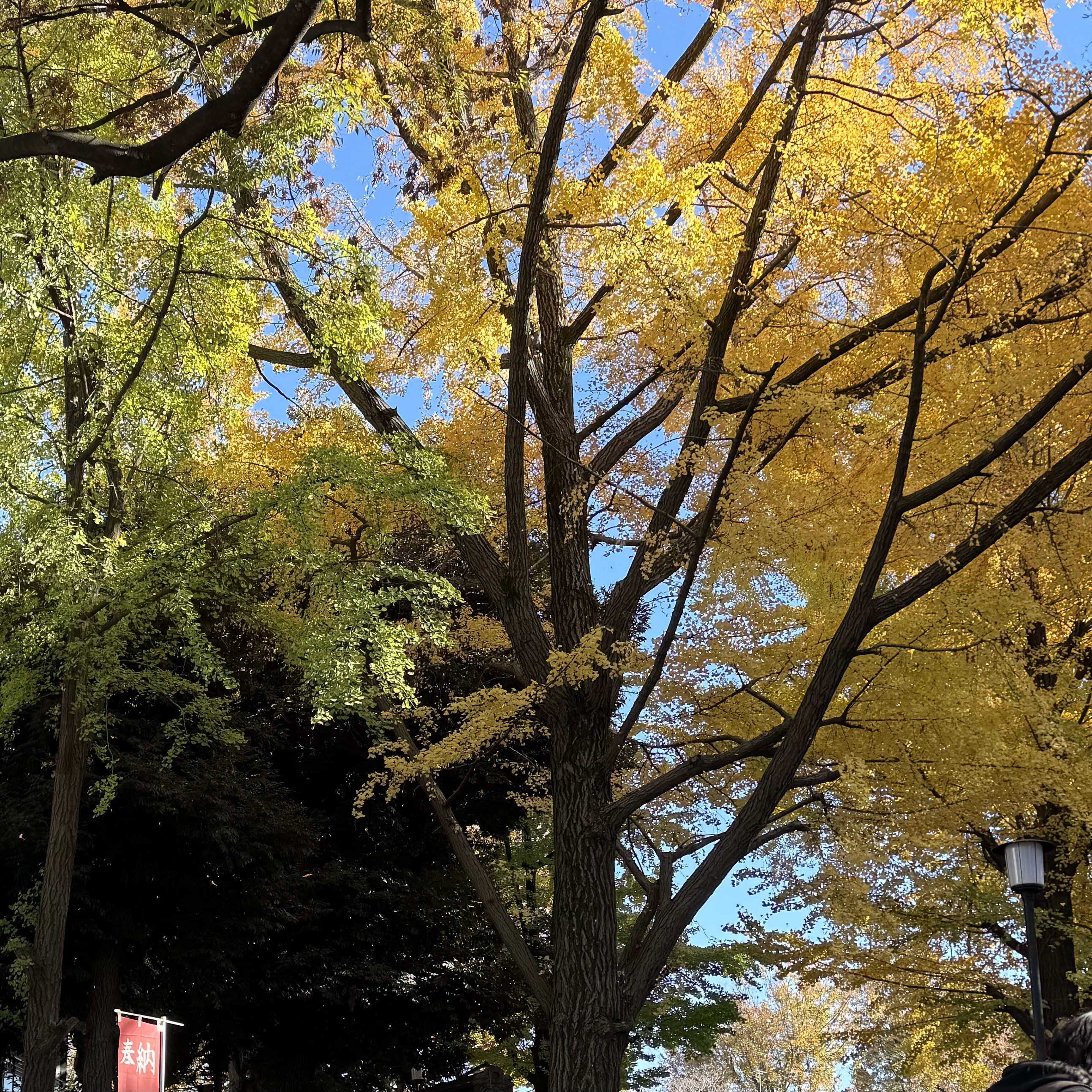 【雑司ヶ谷手創り市のお礼】