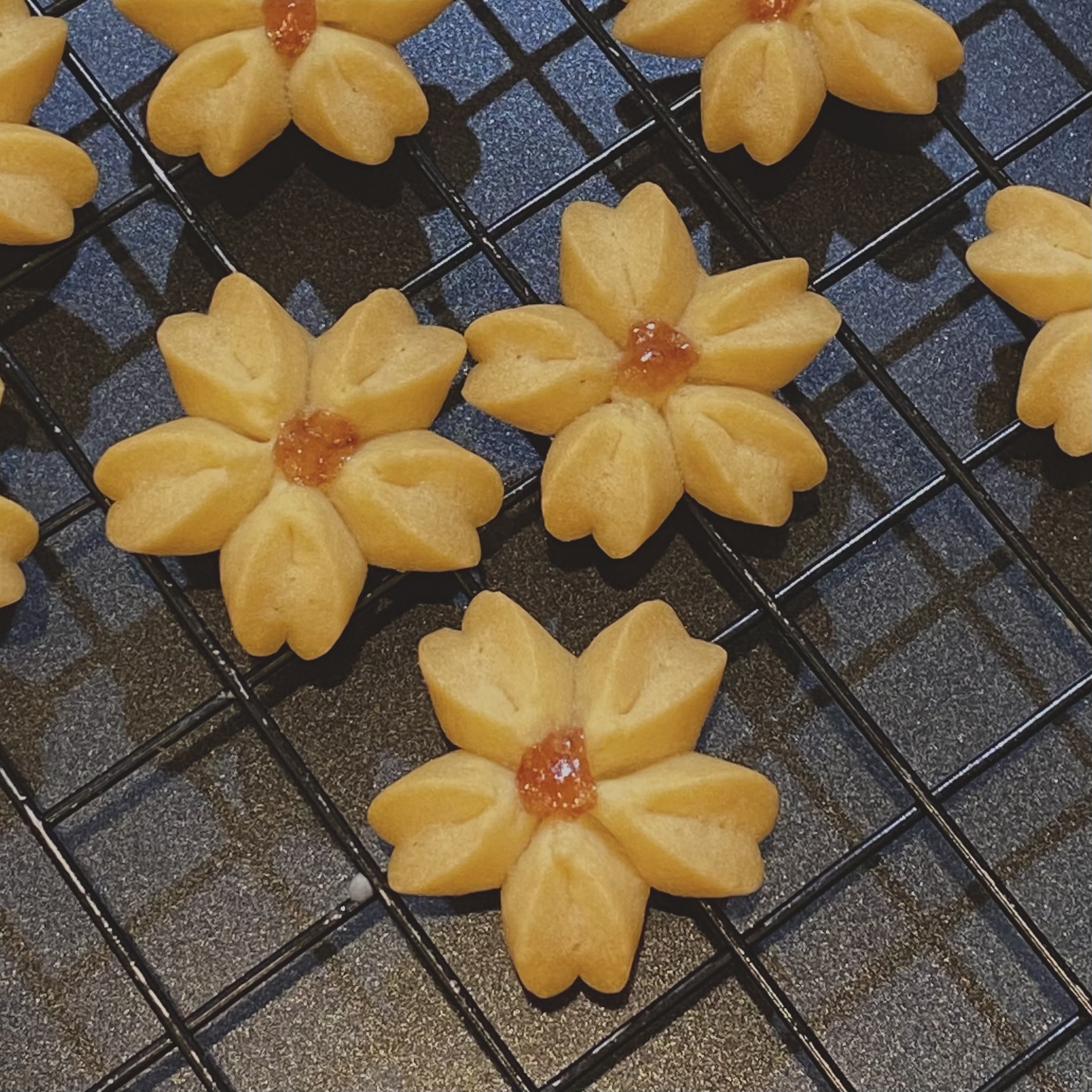 【オンラインショップ予約受付中です】