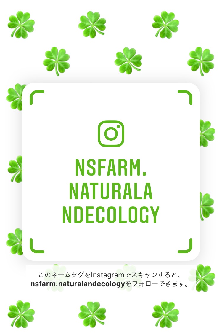 お店のInstagramを開設致しました！
