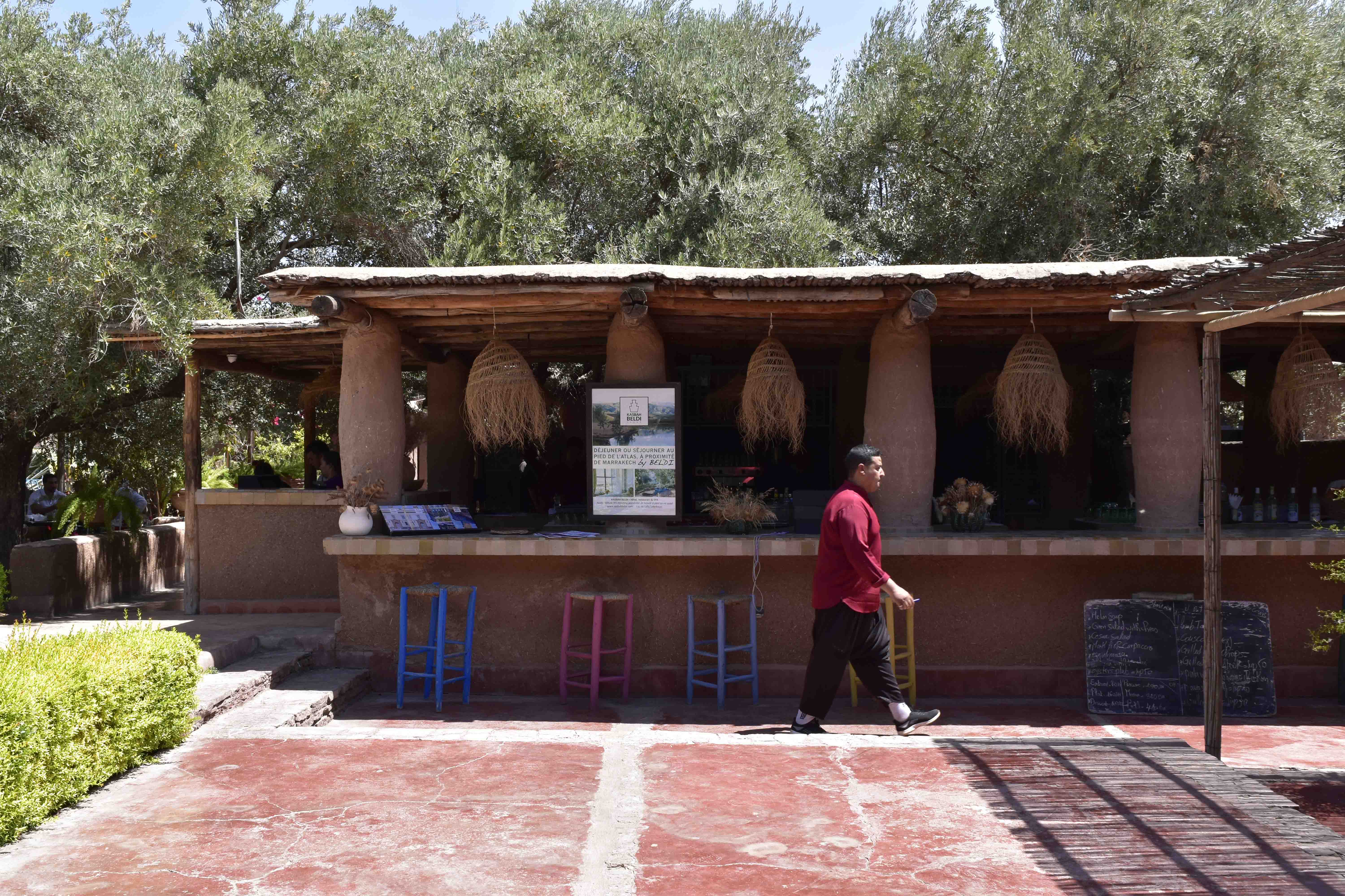 【大切なお知らせ】オリジナル ベニワレンの再入荷と価格改定について