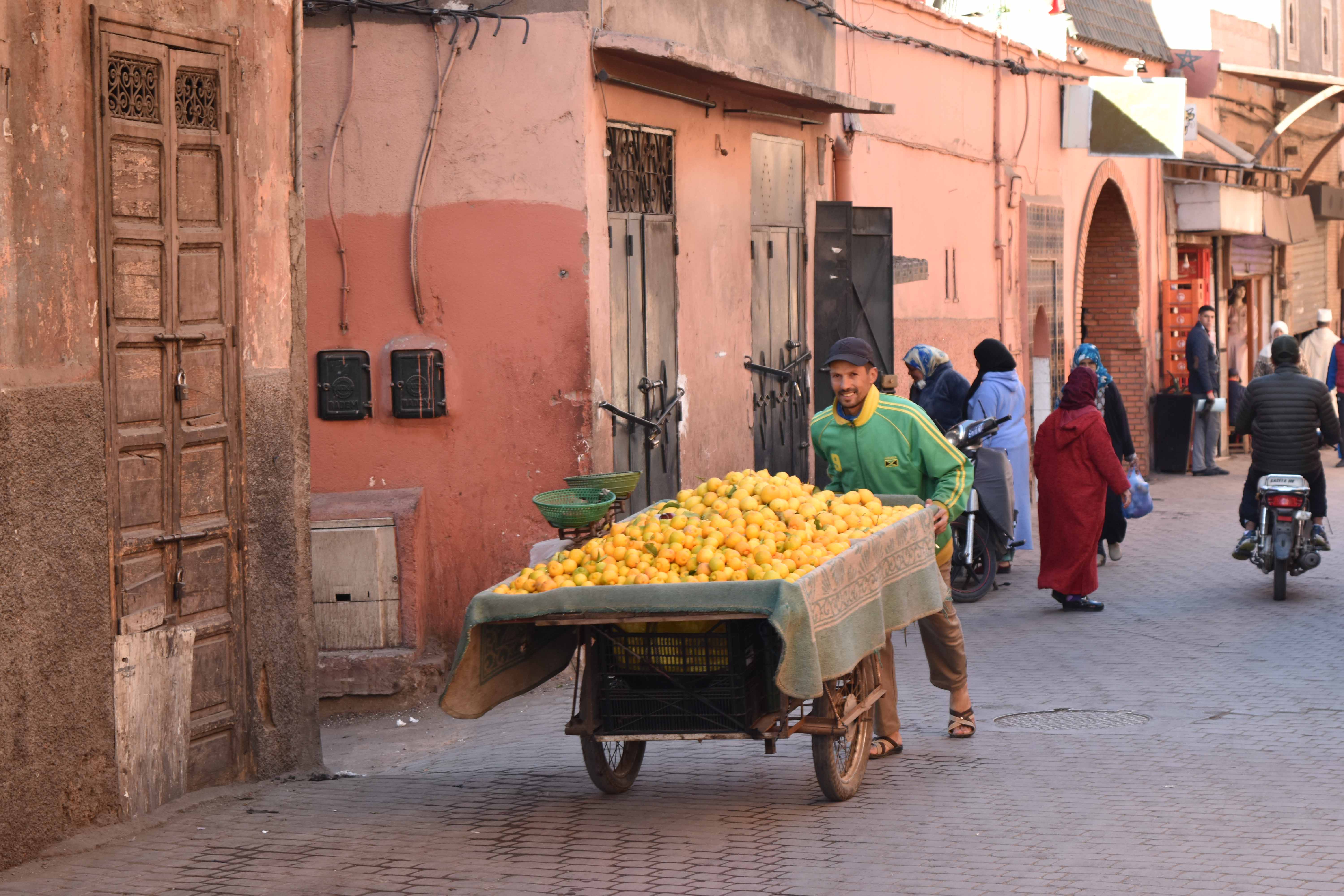 【MOROCCO in BLOOM】ソルティ・レモンのおはなし