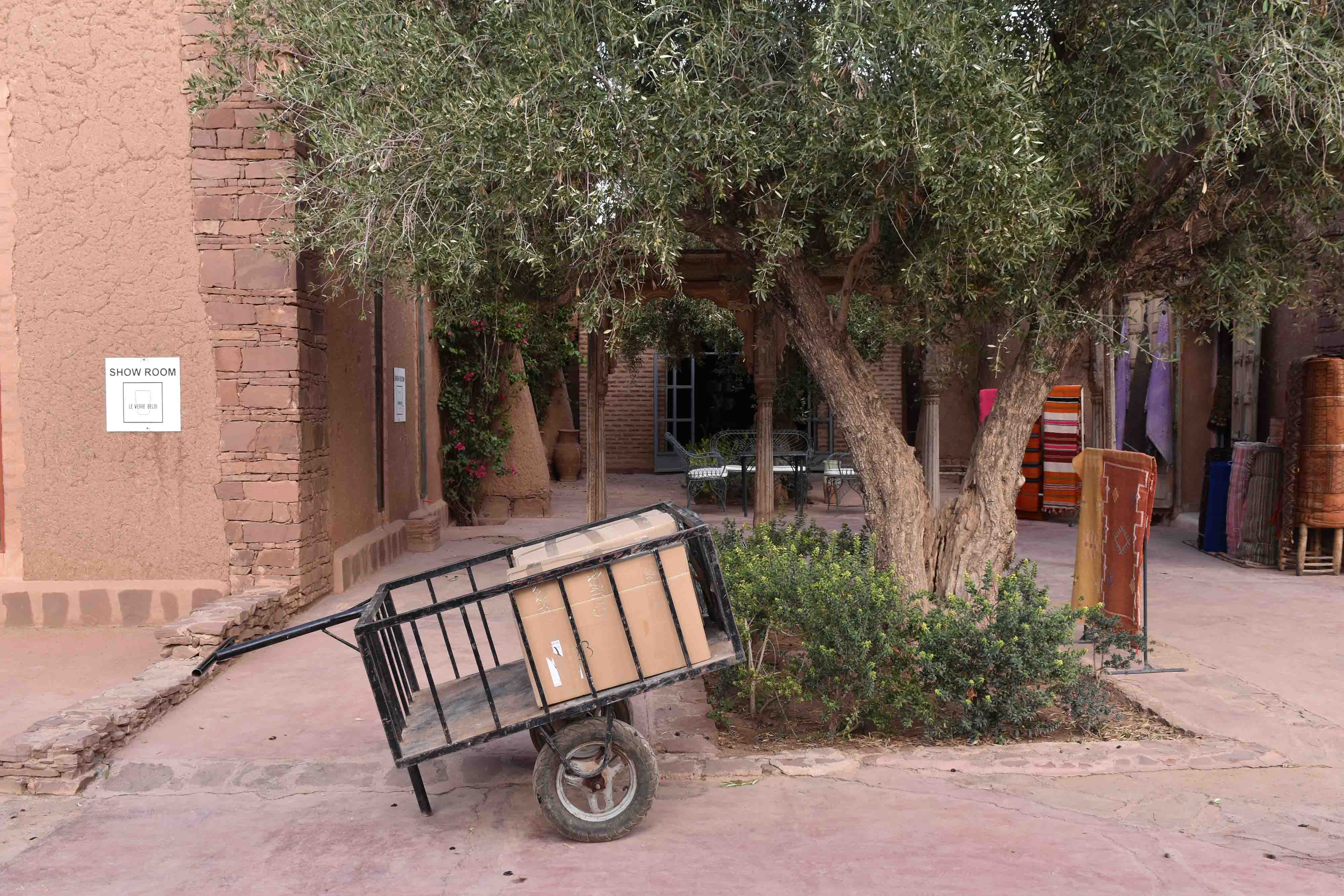 【大切なお知らせ】オリジナル ベニワレンの入荷遅延とお届け状況について