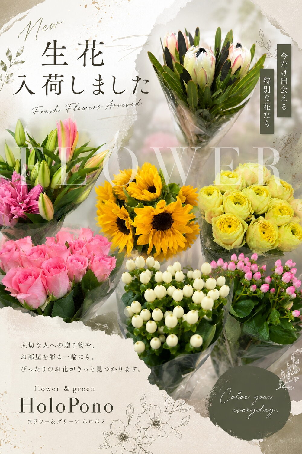 季節の生花いろいろ入荷しました（ユリ＆プロテア推し）