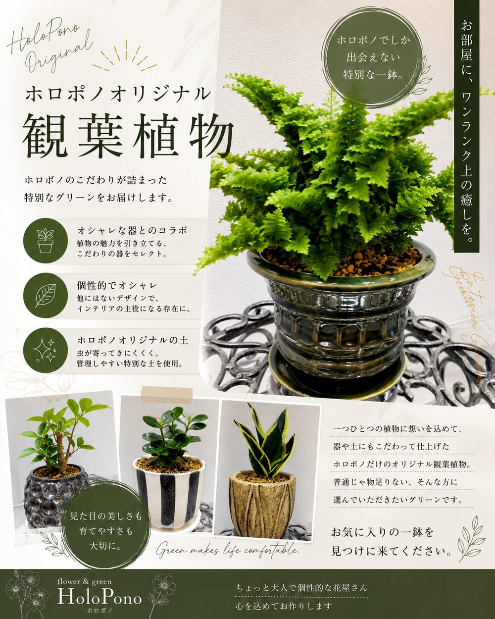ホロポノオリジナル観葉植物のご案内