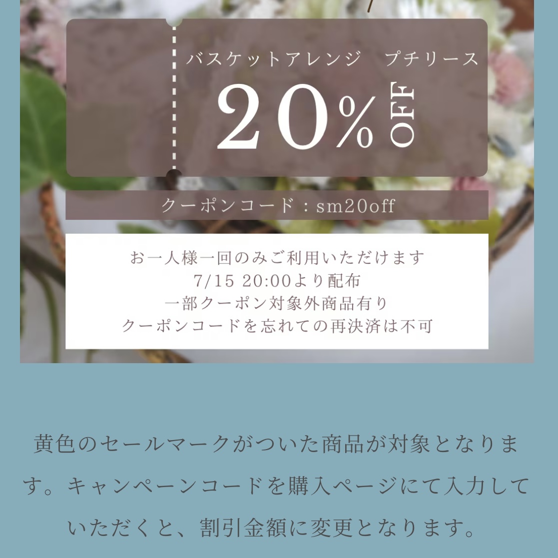【2023夏のsummerセール🎐】