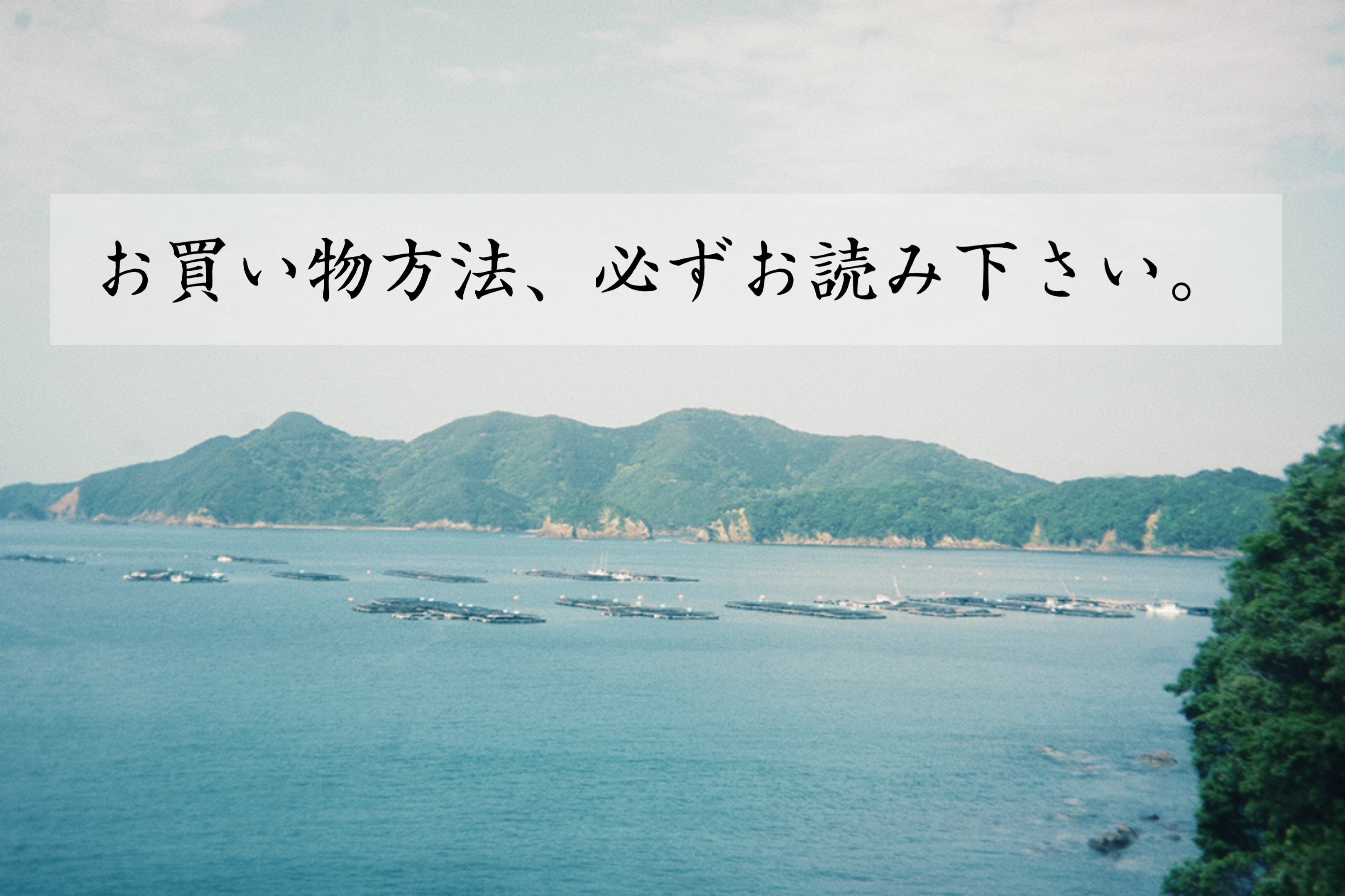 ●お買い物方法  ※必ずお読み下さい