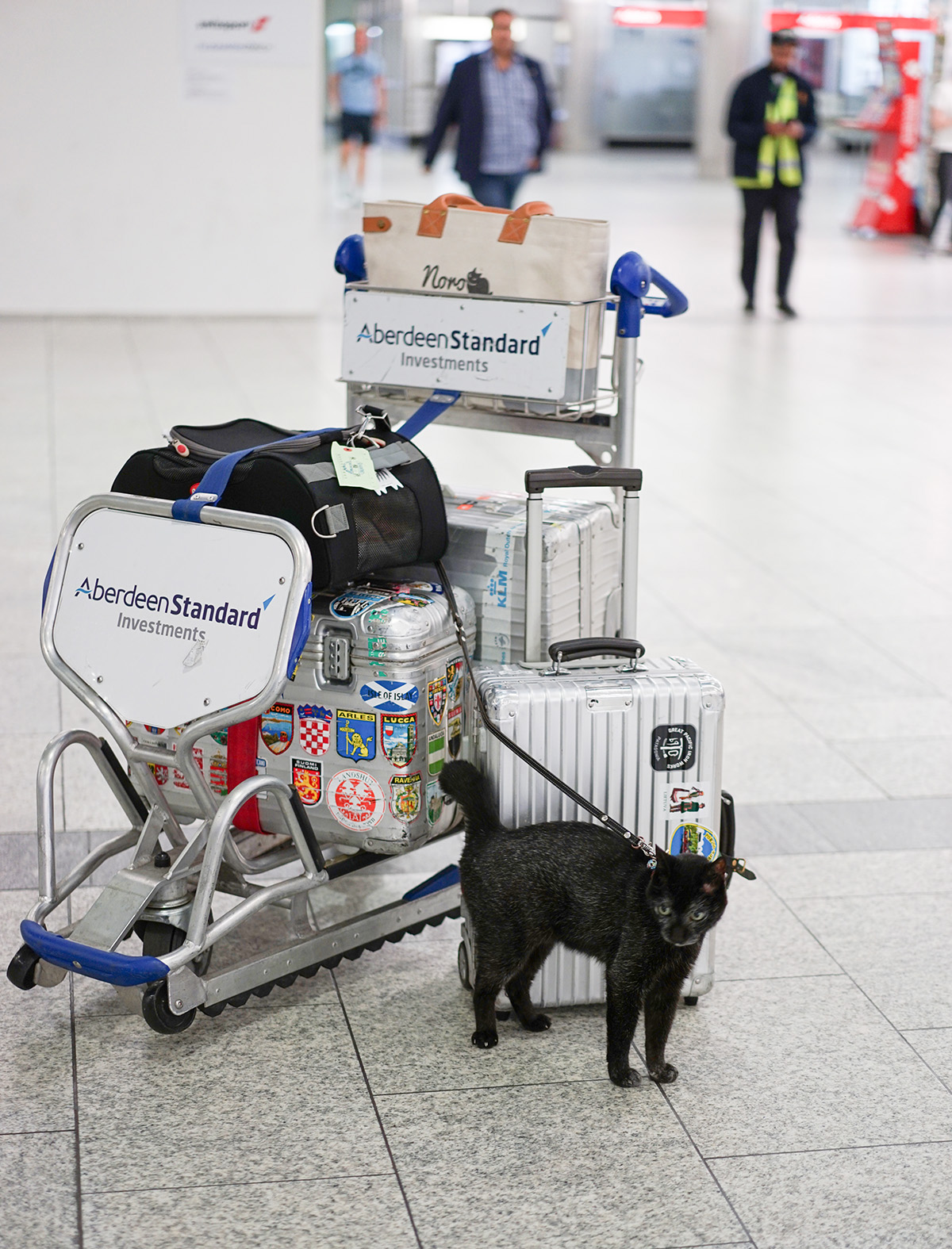 旅に出ています。