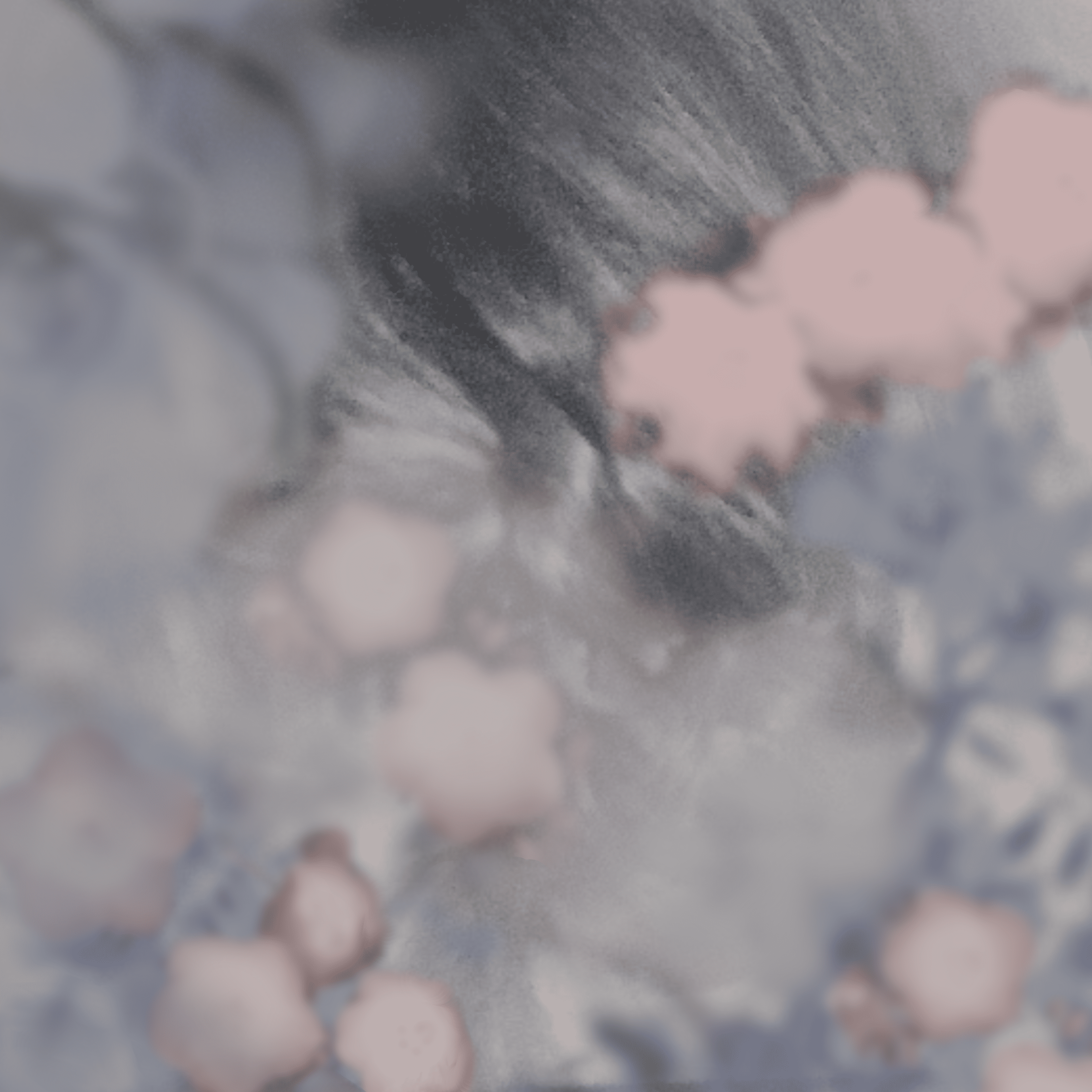 yana yanai release “breeze”