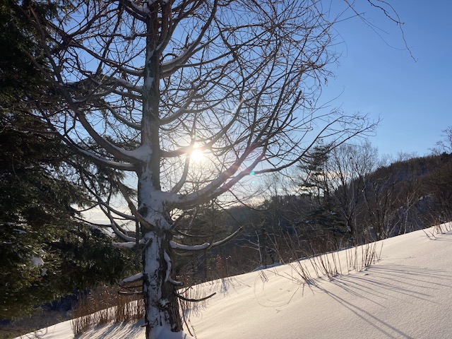 2025 今年も1年ありがとうございました！！