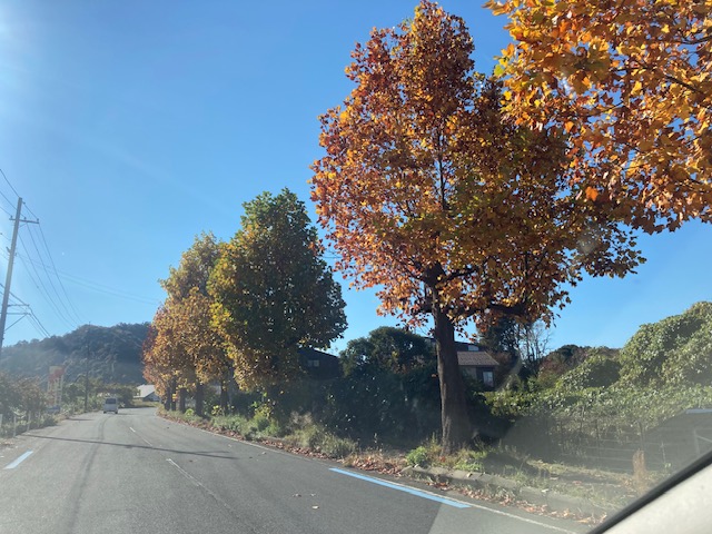 11/21　臨時休業となります。