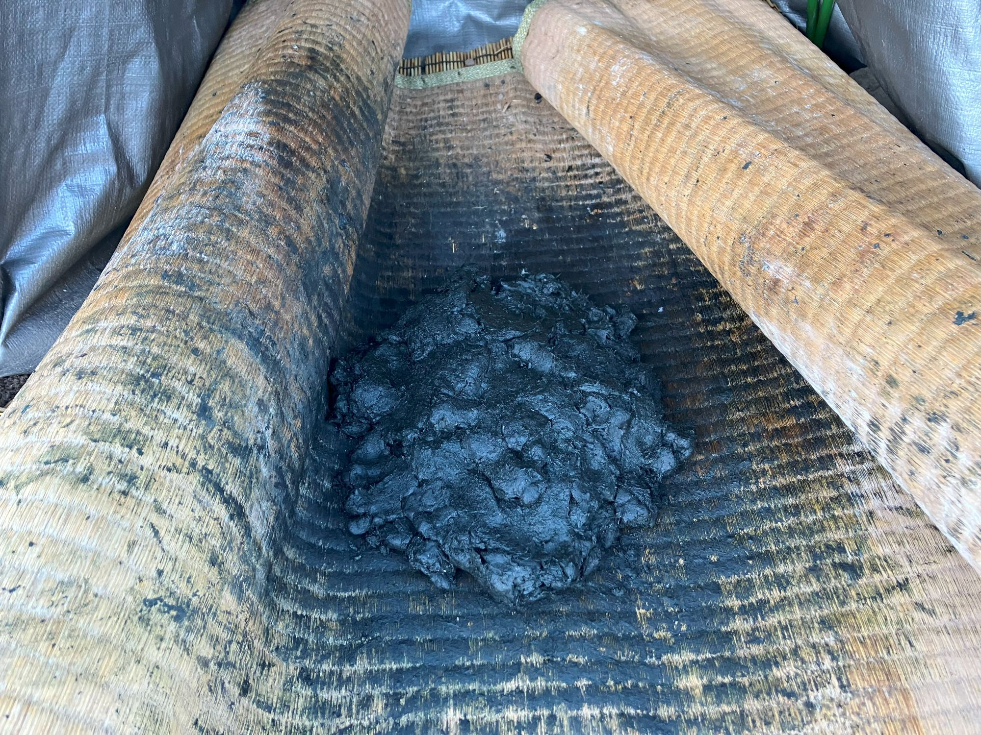 すくもづくり、できたのか?