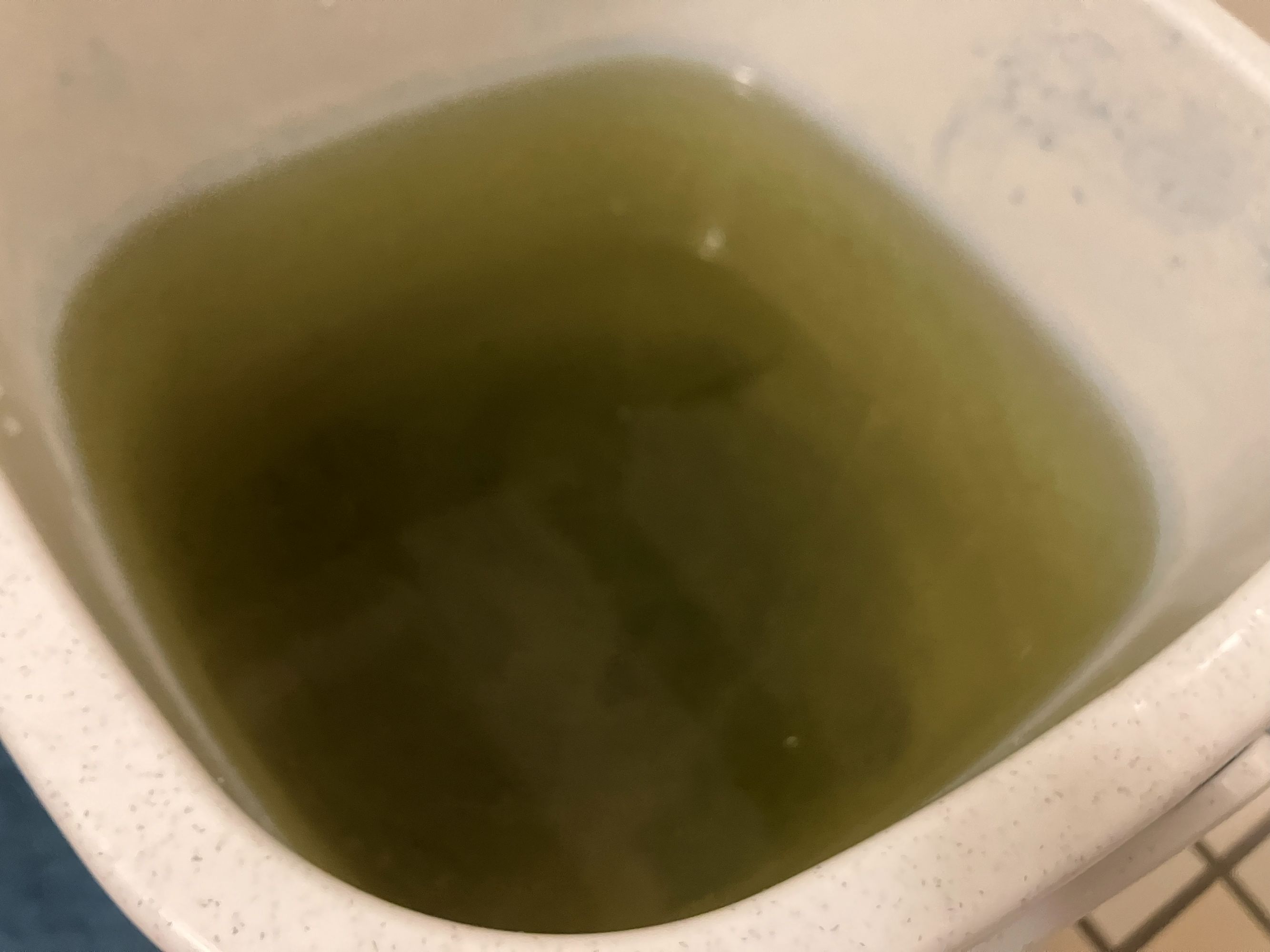 藍染染料づくり③ ～沈殿藍完成！～