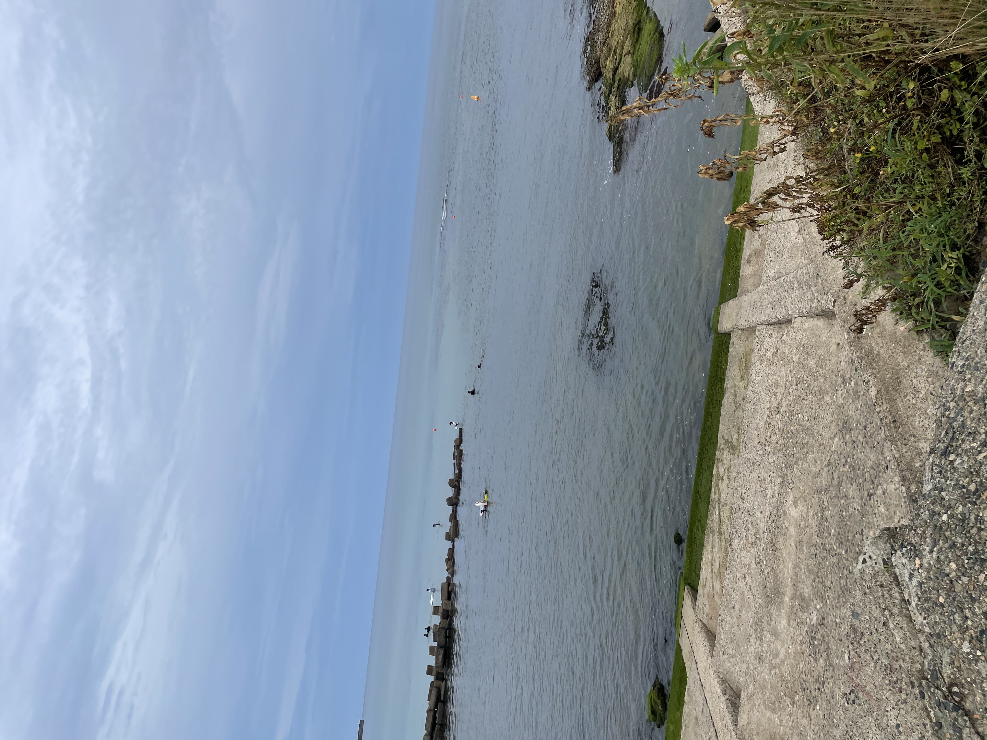 🎐夏季限定🍉！送料無料のお知らせです☀️