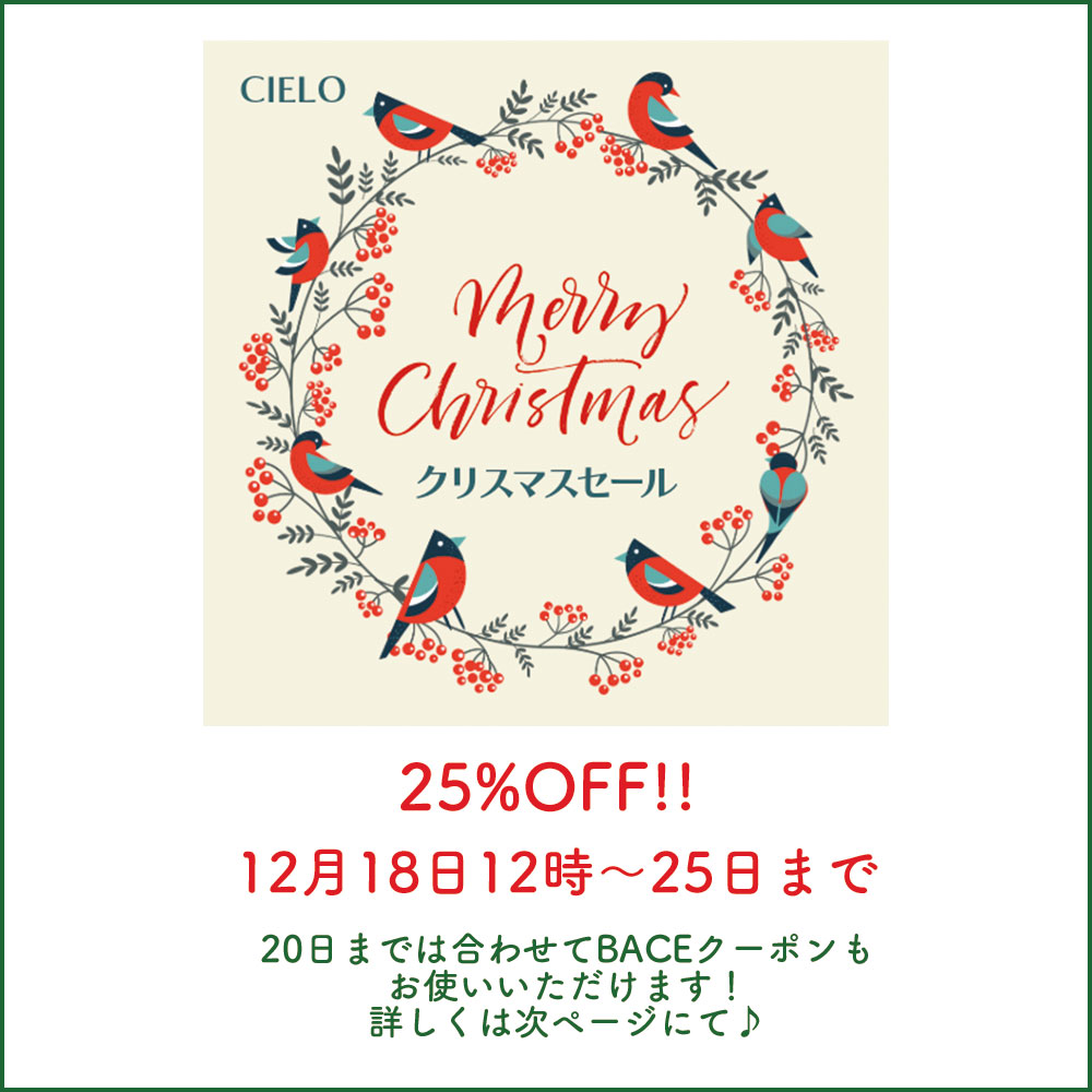 2025年クリスマスセール開催！