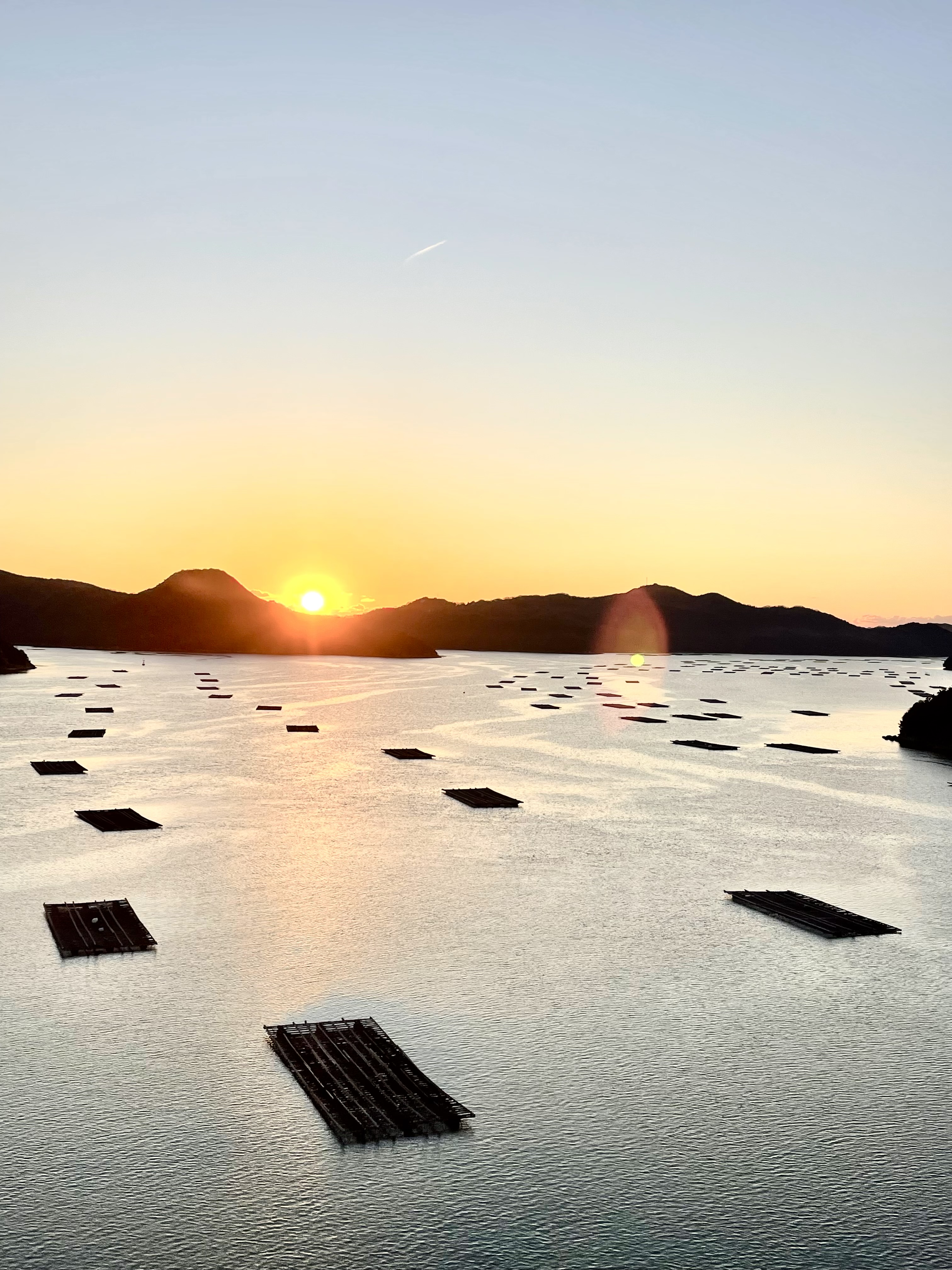 新年のご挨拶🎍