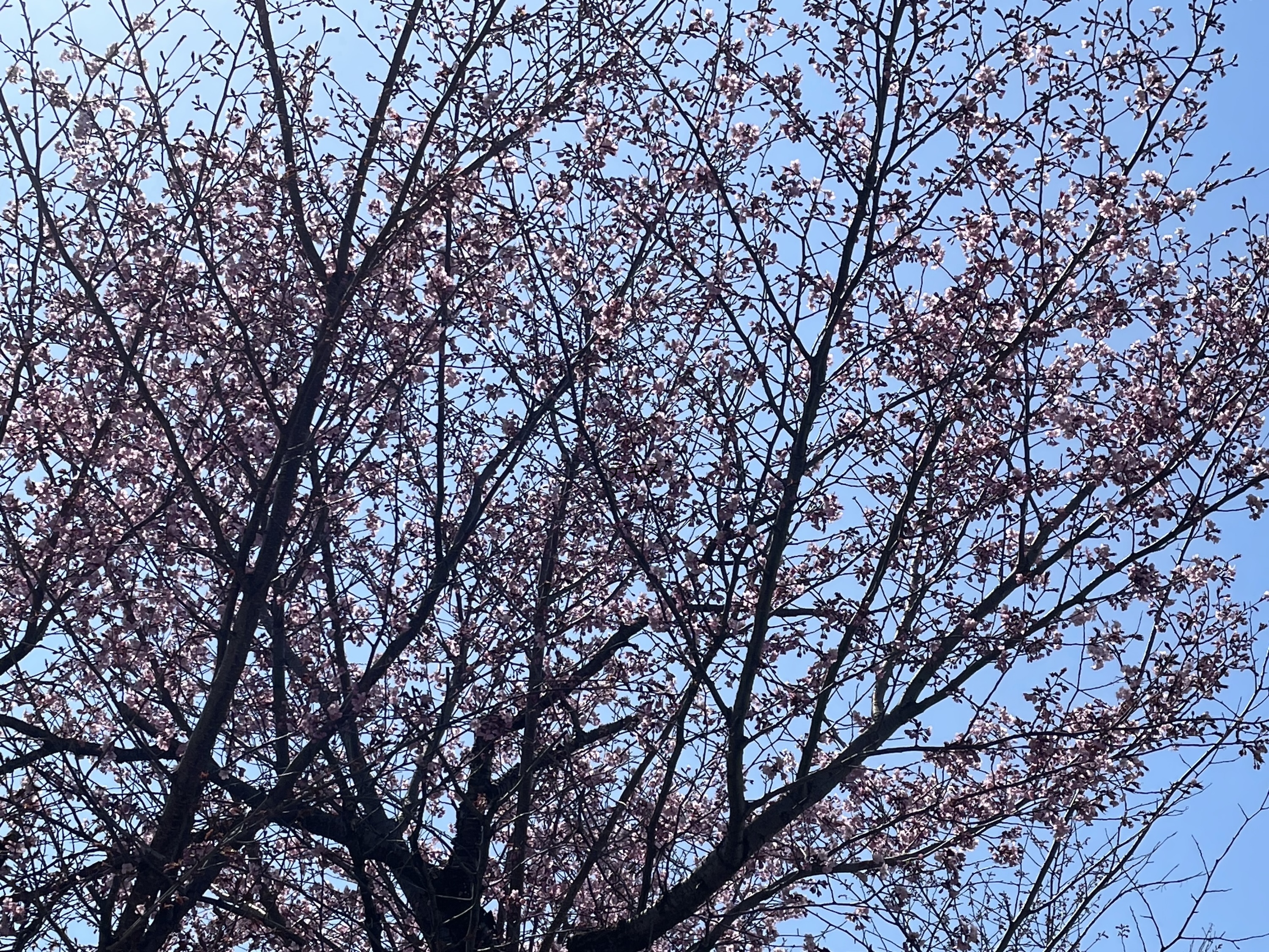 GW最終日です。