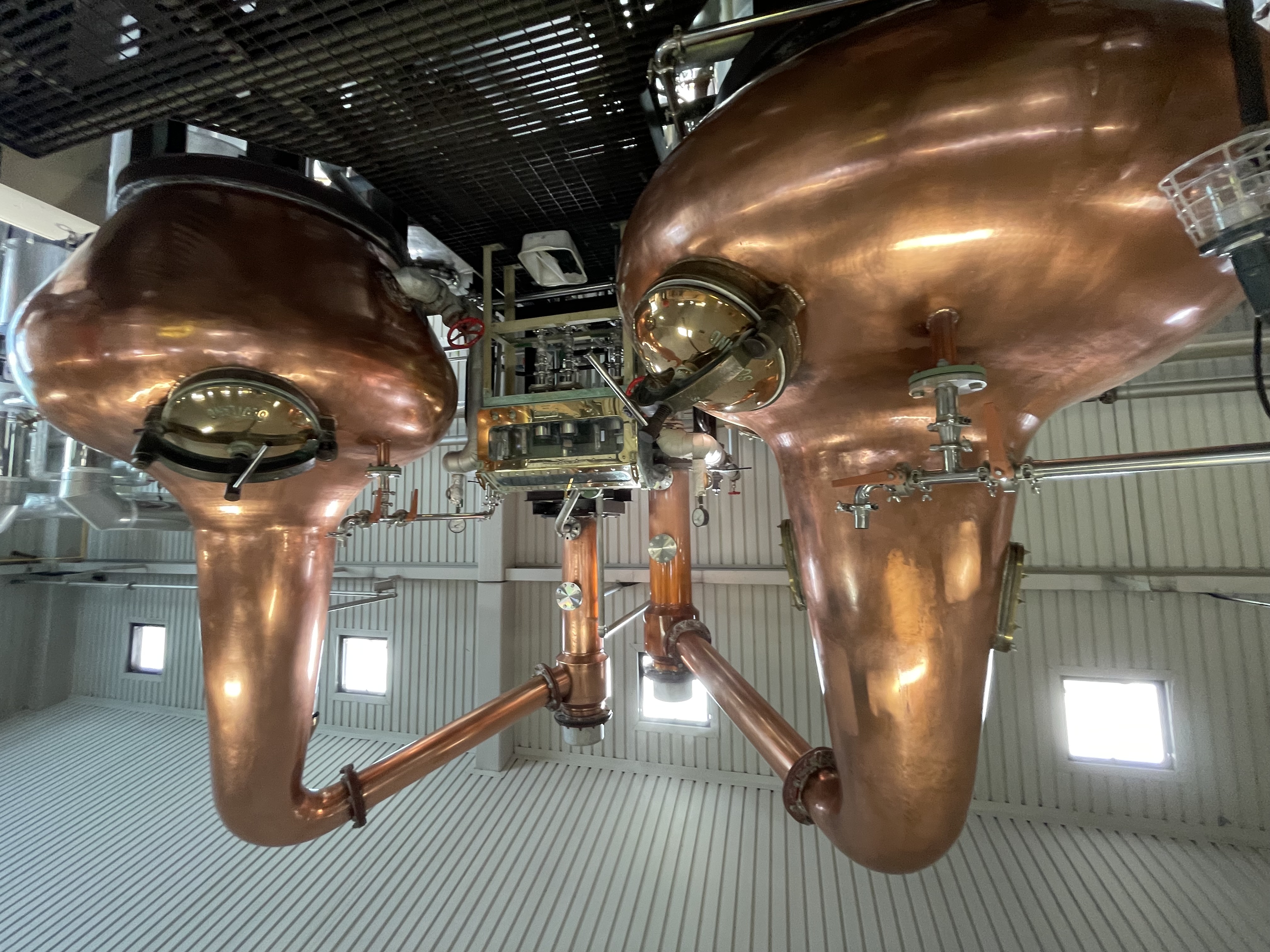 帰って来ました。