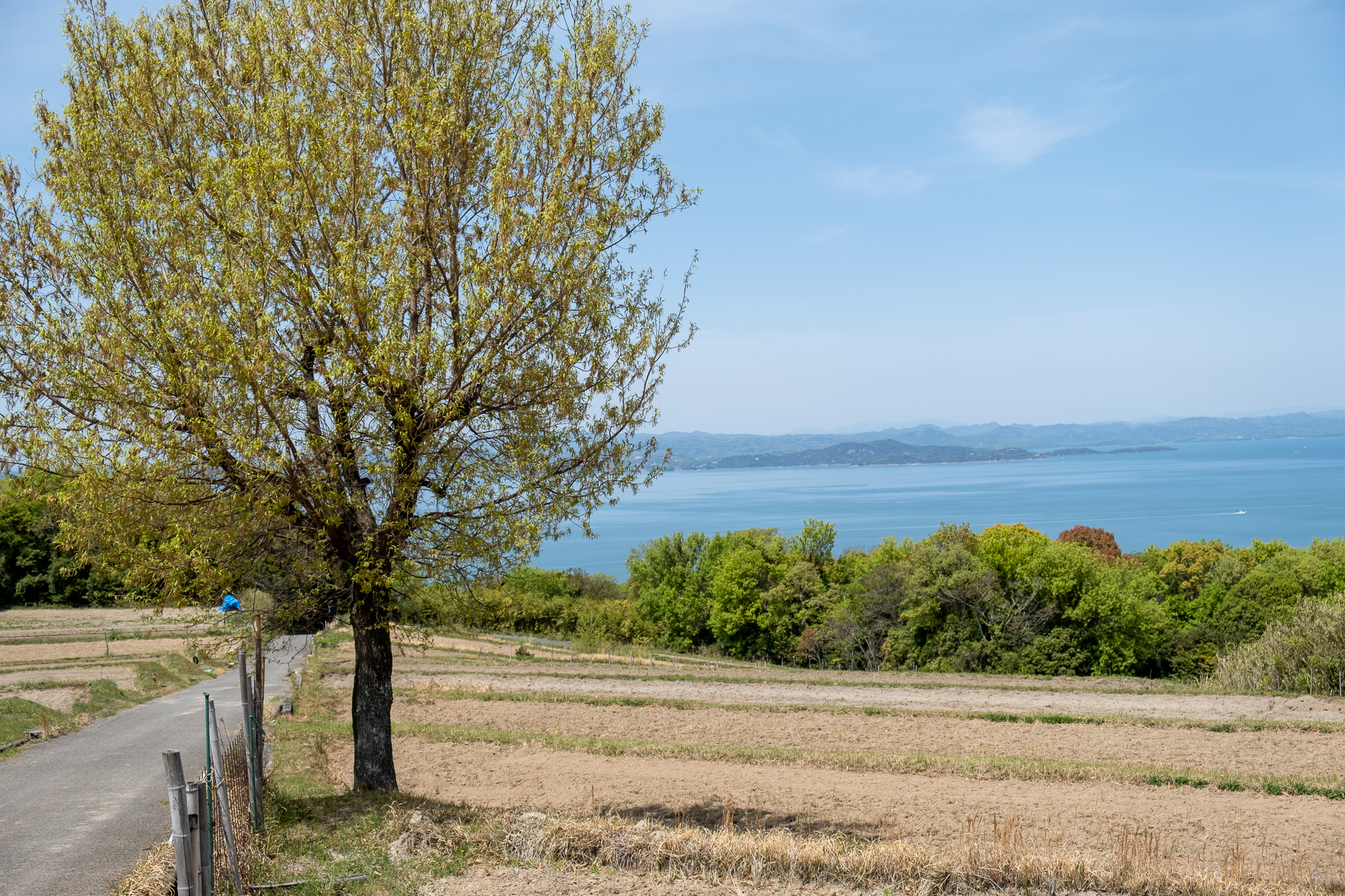 小豆島の景色