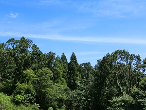 うつ病と発達障害に向き合い、一歩を踏みだす  ２／３