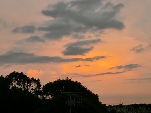 追いつめられた心、そしてついに無気力状態となる！２／４