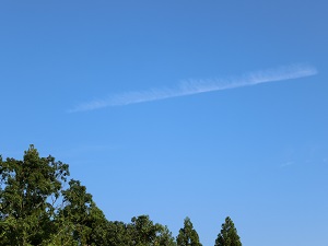 救いの手と大きな転機・後半