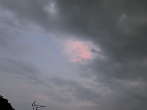 社会人３～７年「 不安が伴う充実感と驚愕の真実」前半