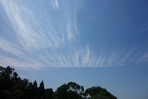 病は気から、心を開ける医療機関のつながり １／３