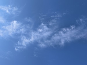 他人からの価値観の押しつけとその背景と対応策