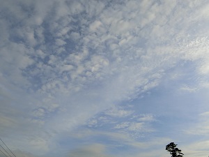 理不尽な状況に対する葛藤と新たなる出会い・１／３