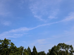 新たな出発、そして数々の運命の出会いと大いなる流れ ２／３